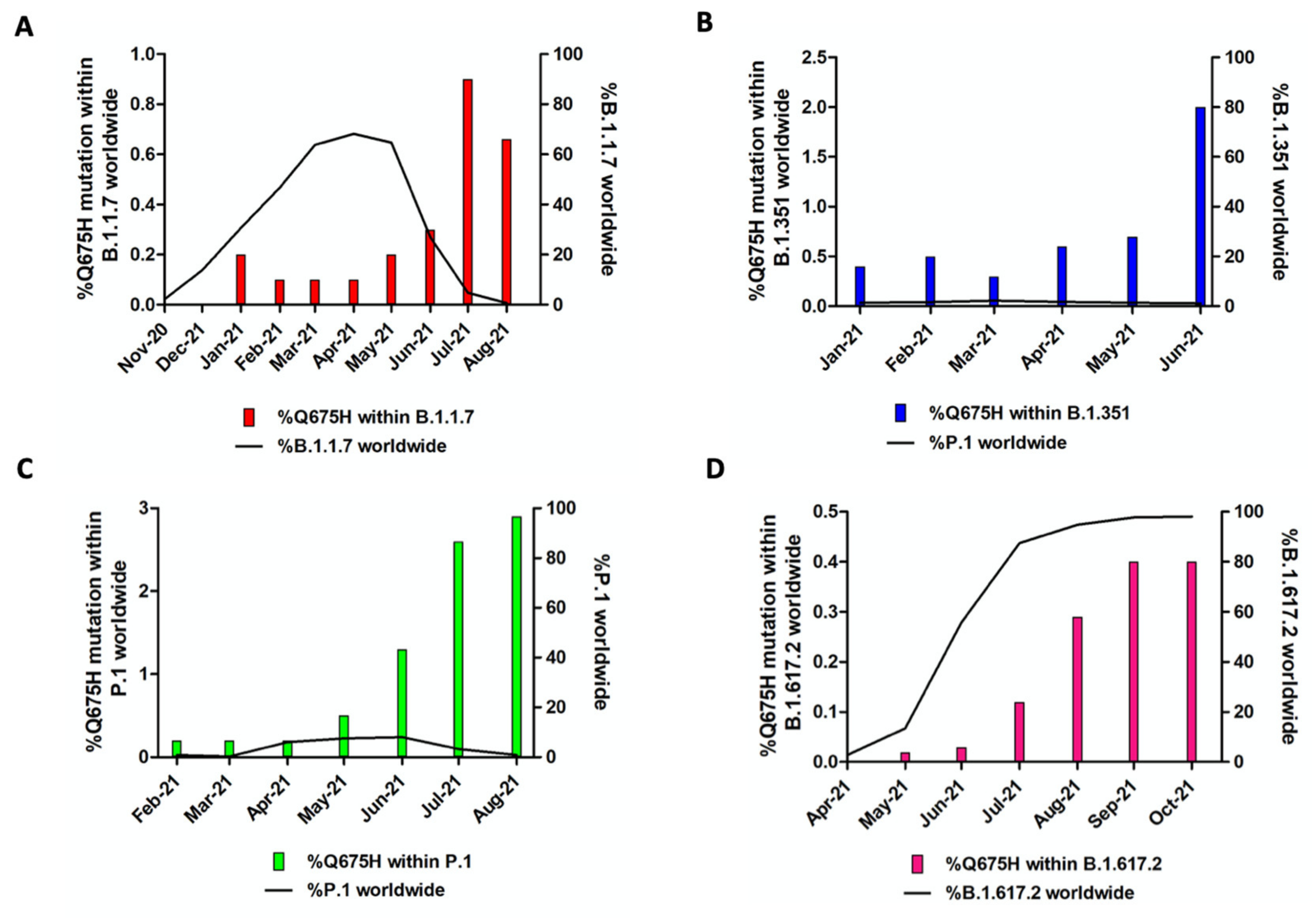 Viruses 13 02511 g003