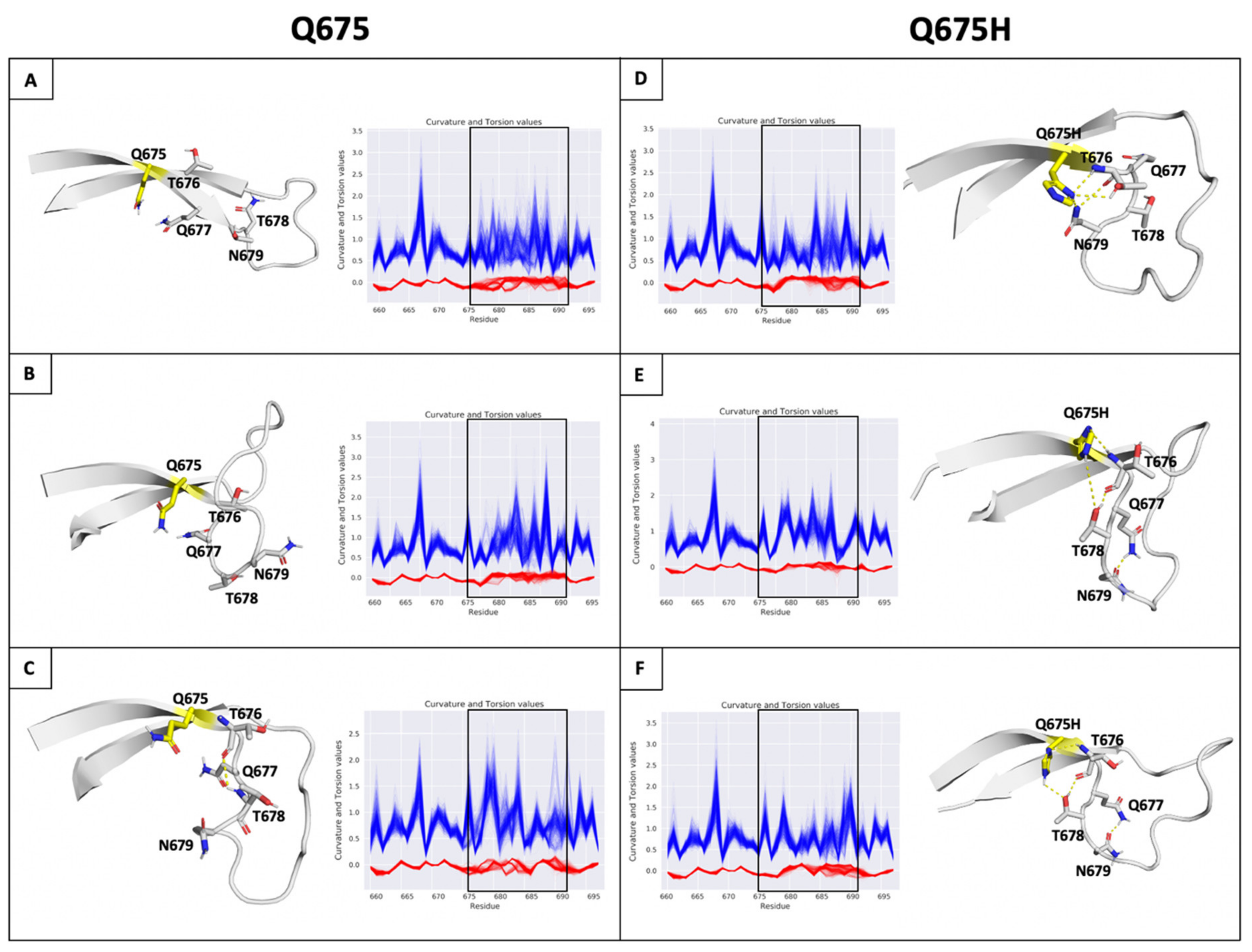 Viruses 13 02511 g006