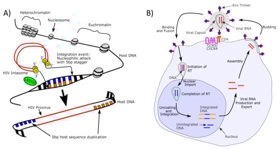 Viruses 13 02512 g001