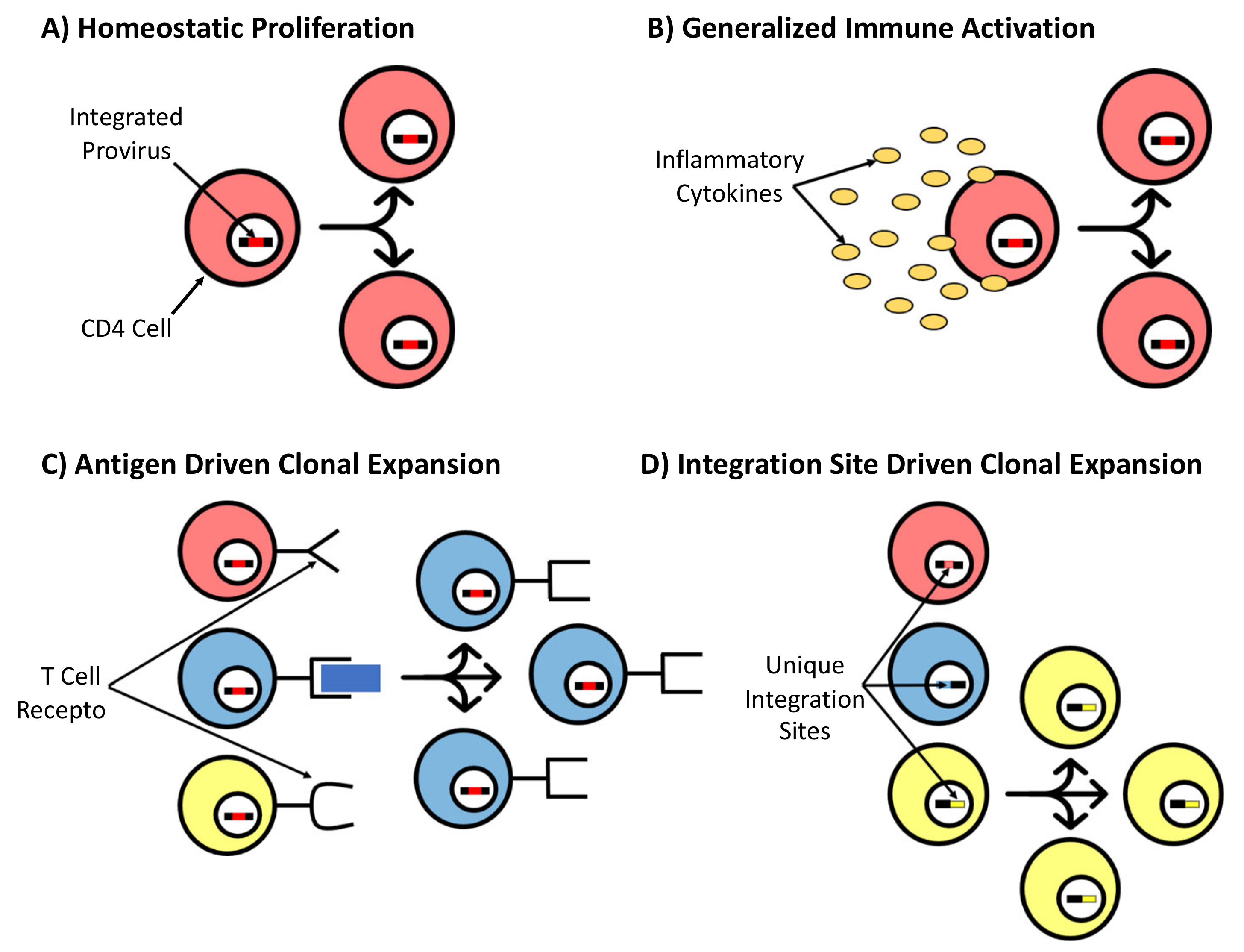 Viruses 13 02512 g004