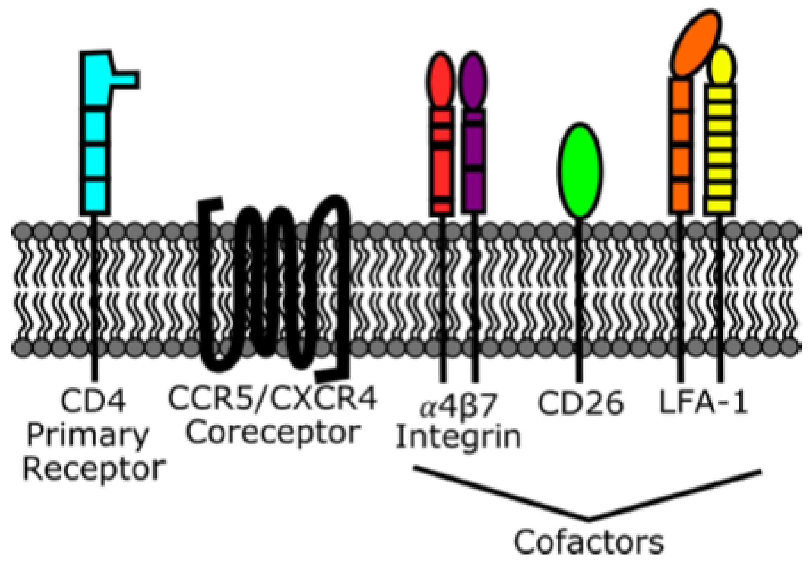 Viruses 13 02512 g005