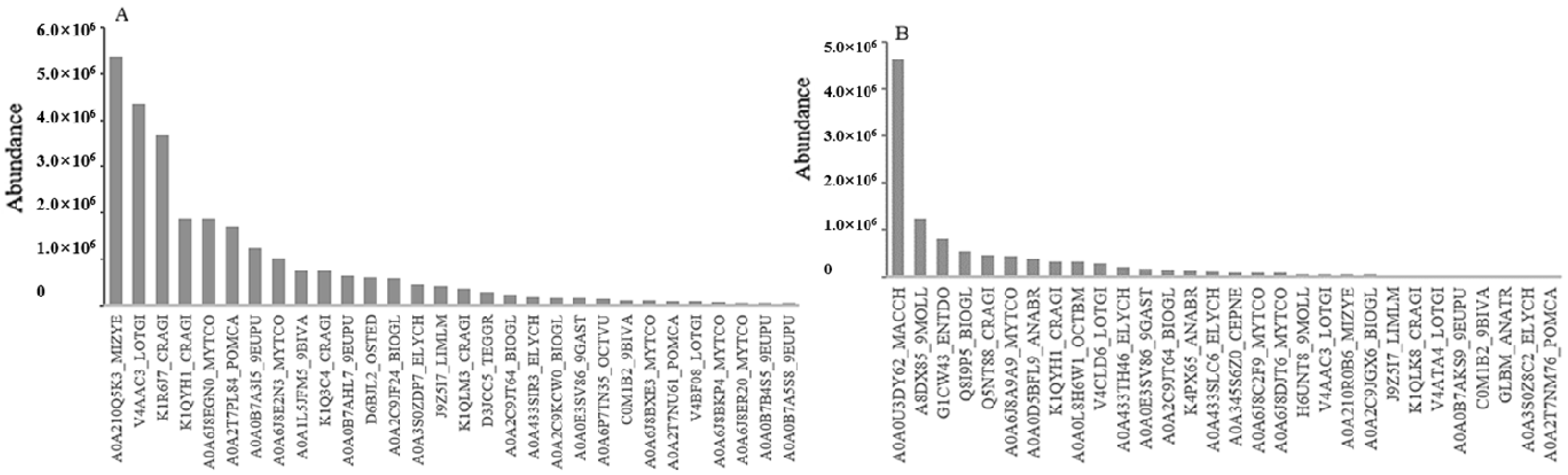 Viruses 13 02518 g005 Viruses 13 02518 g005