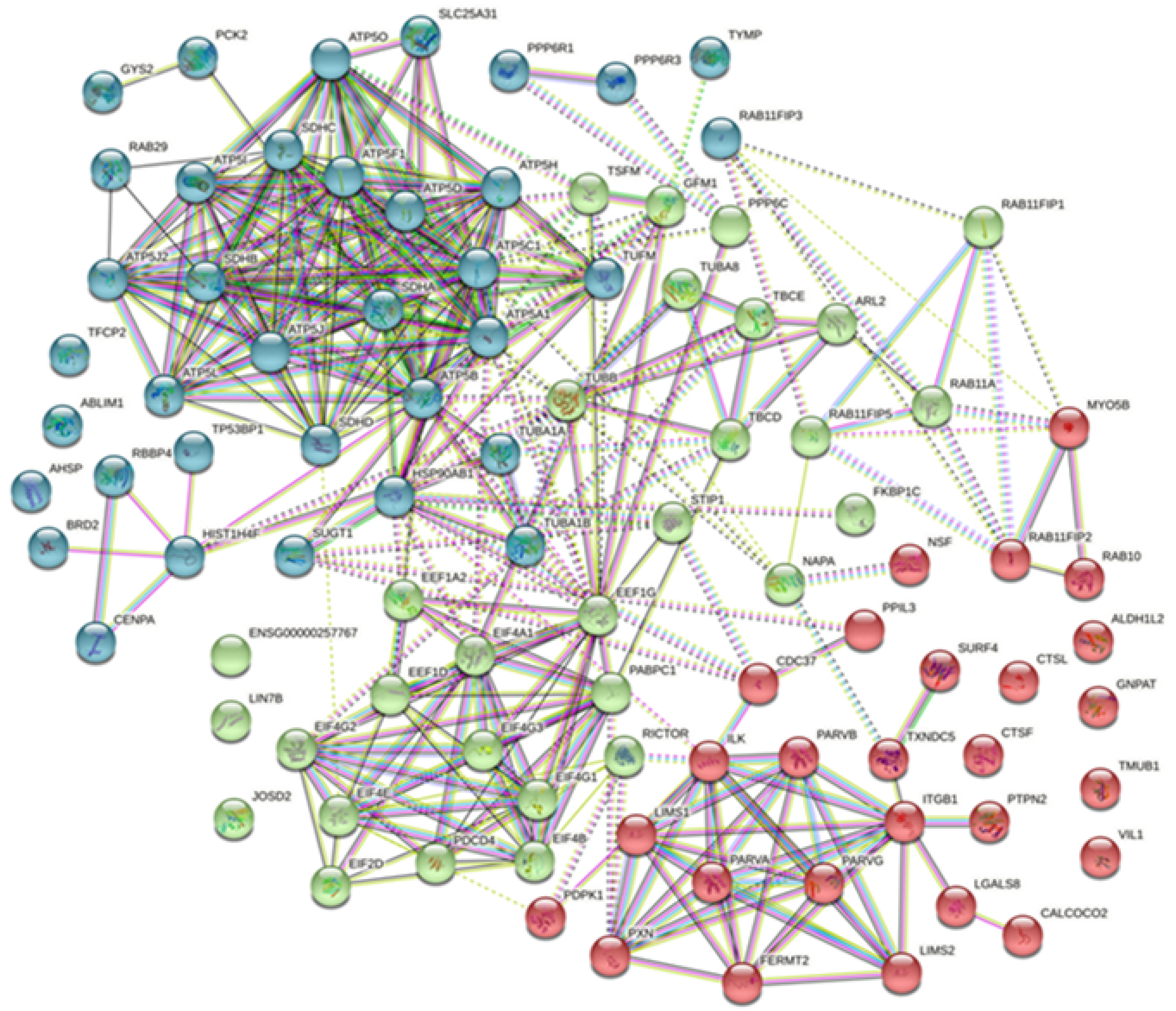Viruses 13 02518 g006 Viruses 13 02518 g006