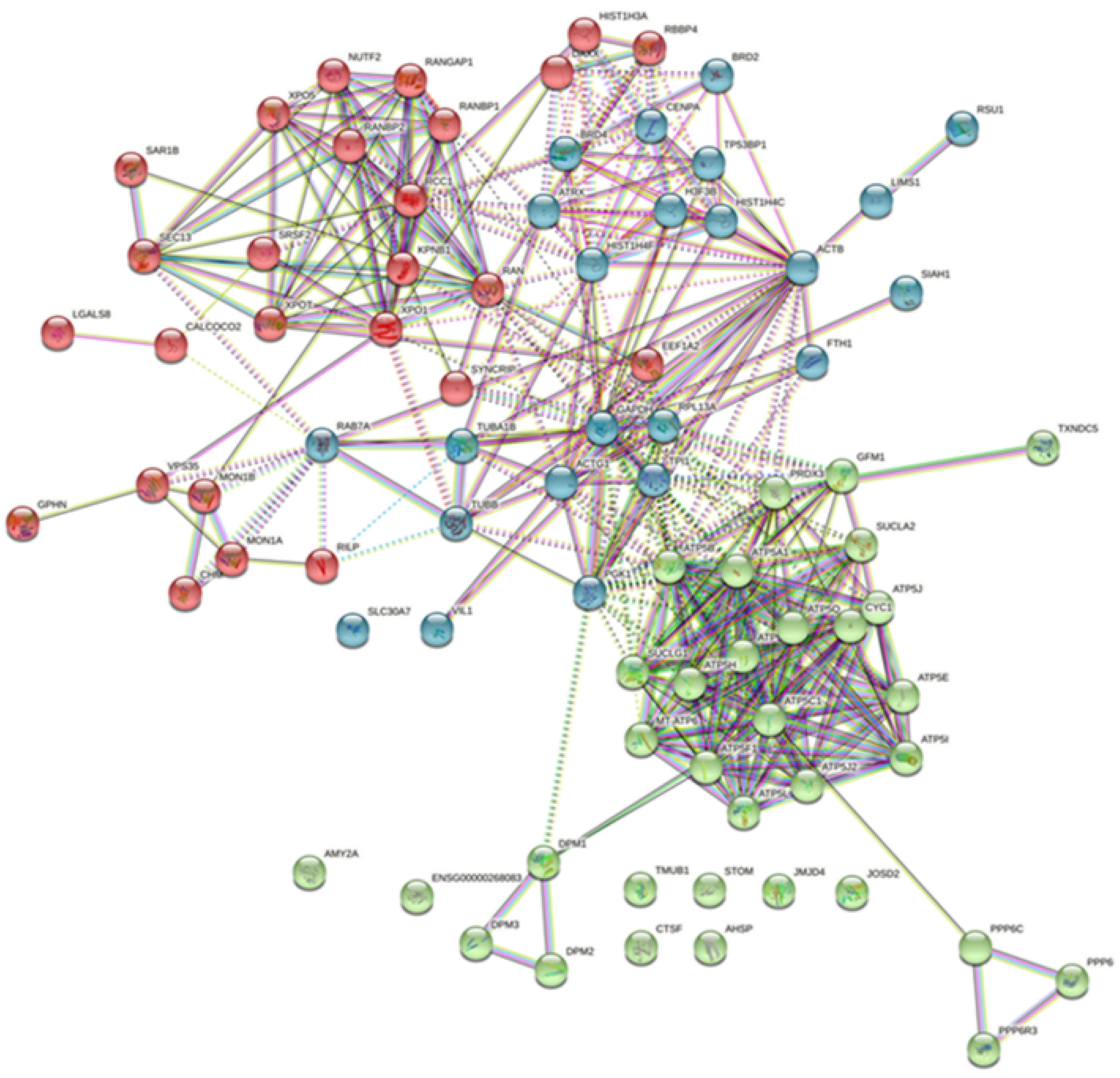 Viruses 13 02518 g007 Viruses 13 02518 g007