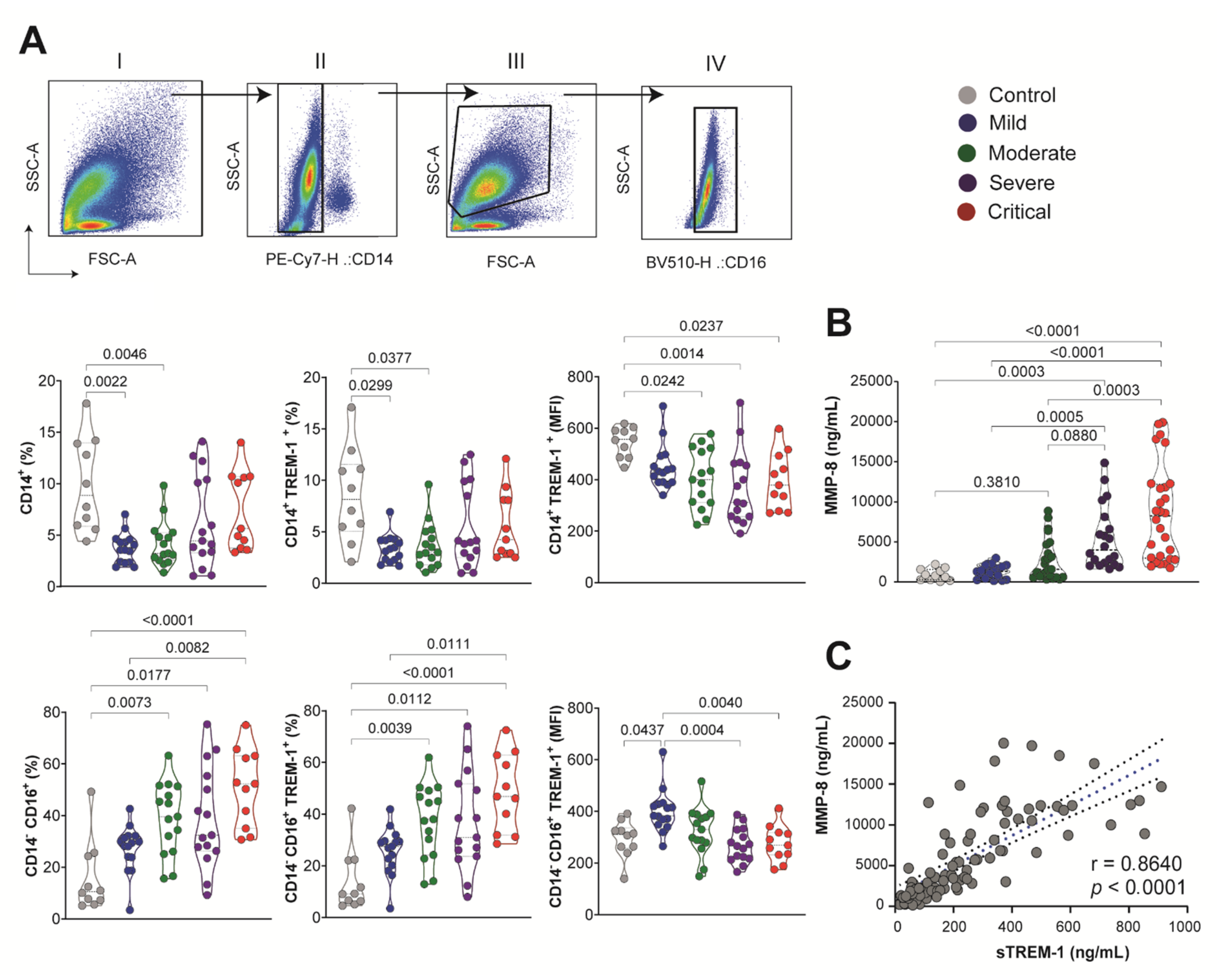 Viruses 13 02521 g004