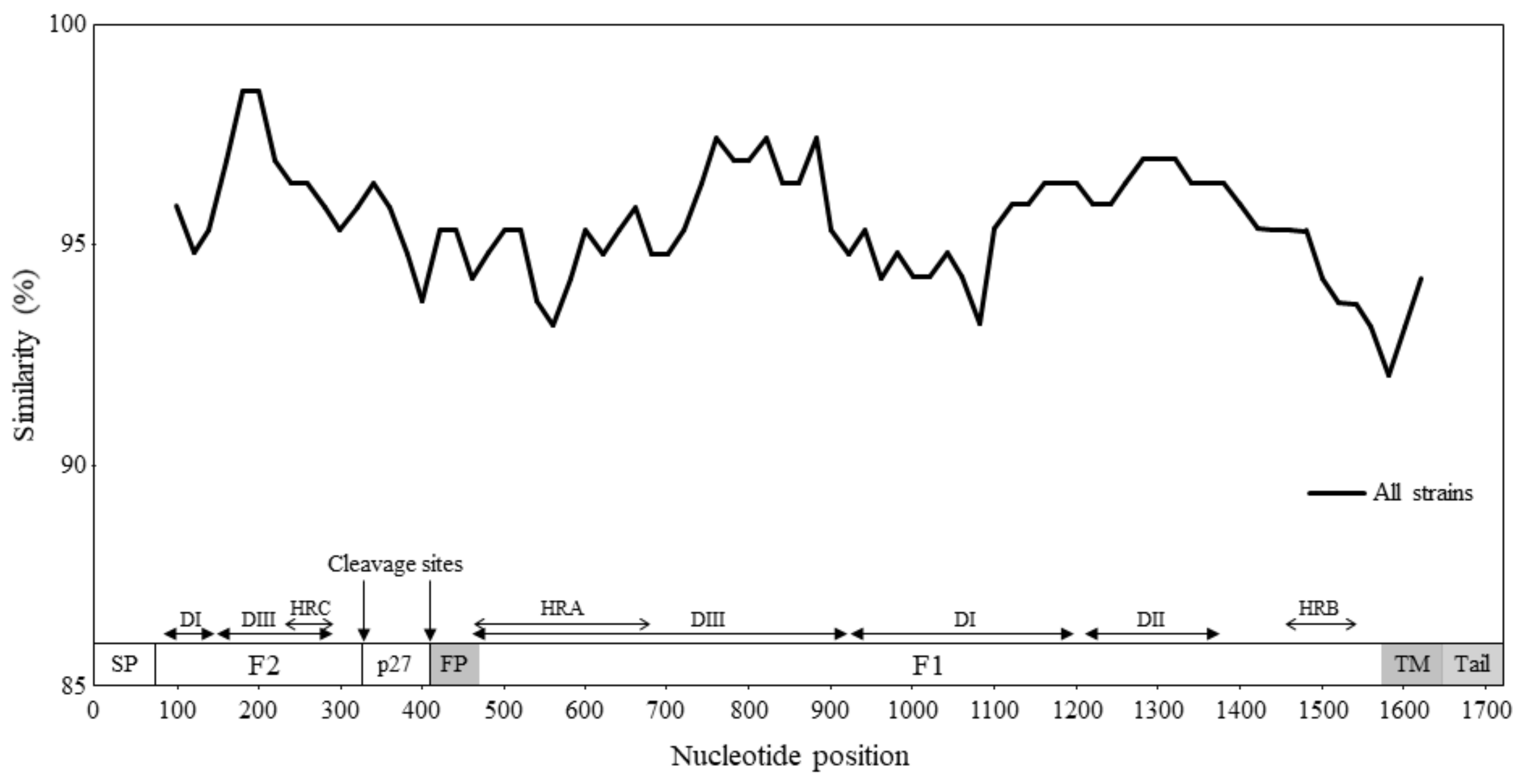 Viruses 13 02525 g003