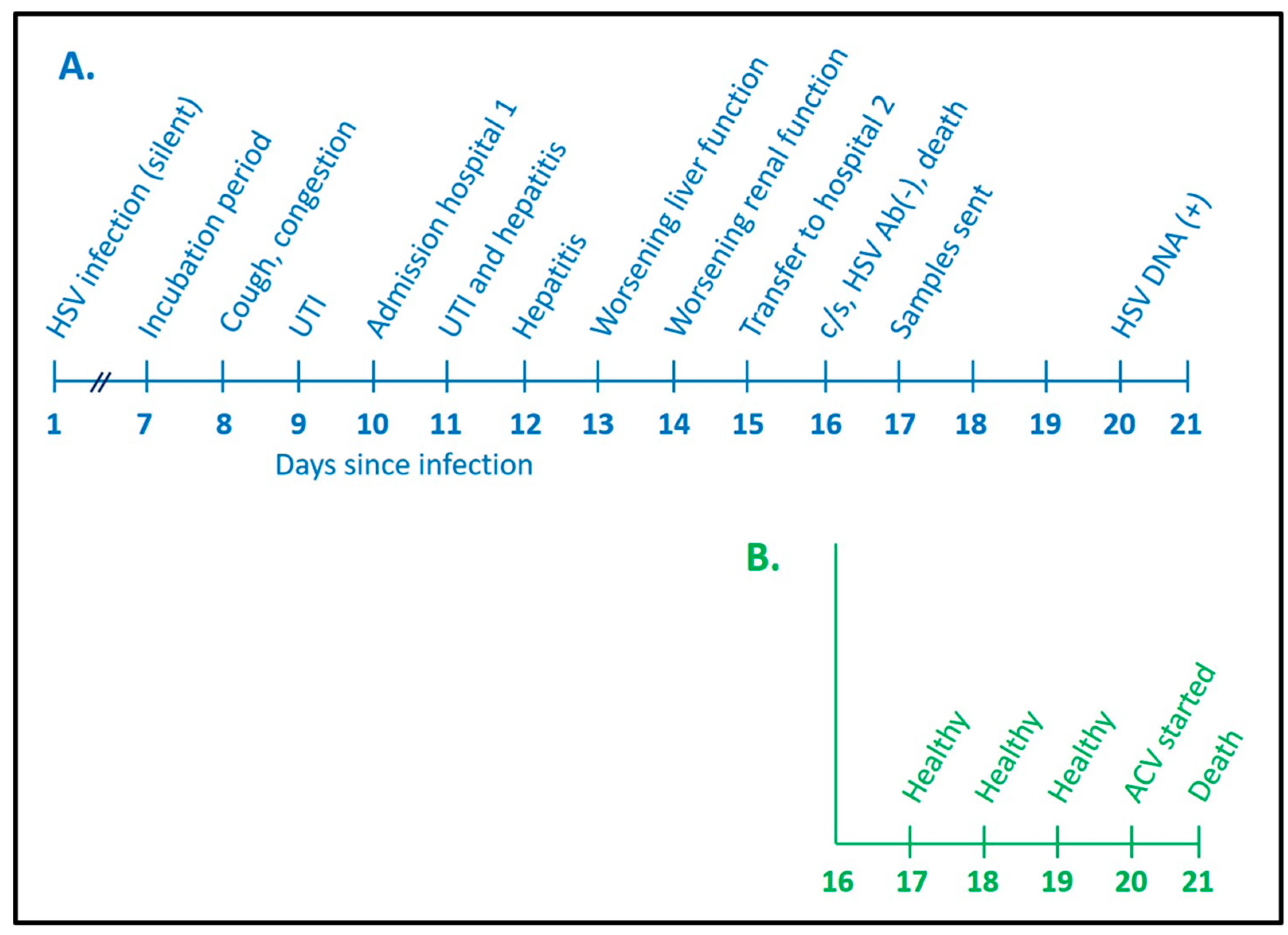 Viruses 13 02542 g002