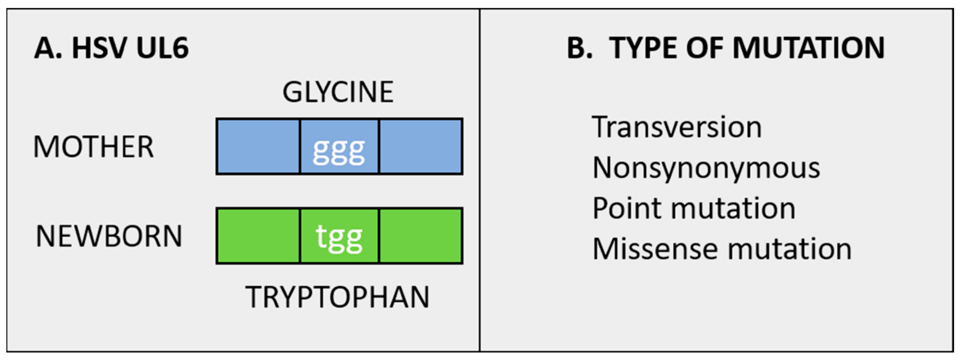 Viruses 13 02542 g005