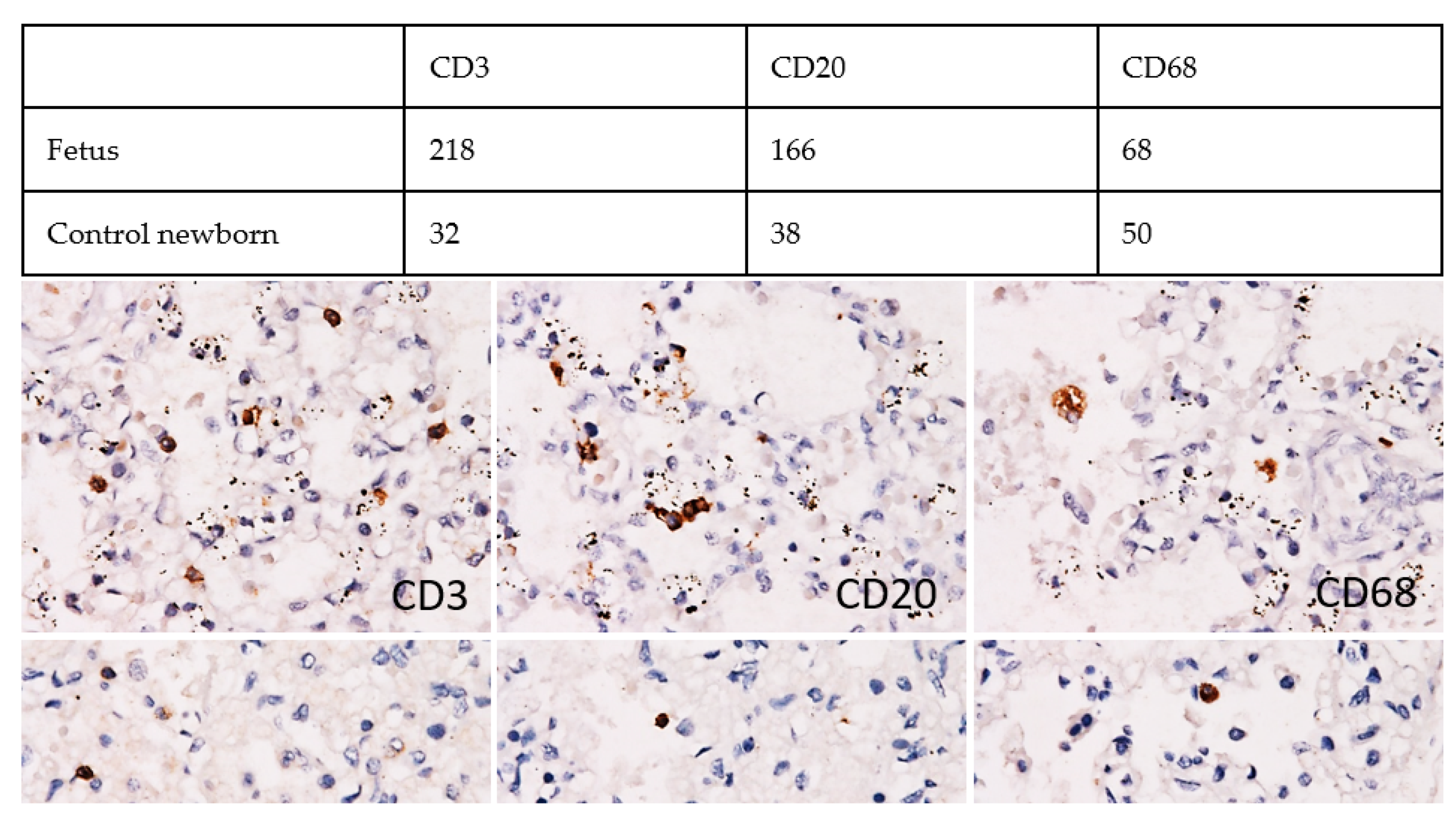 Viruses 13 02545 g005