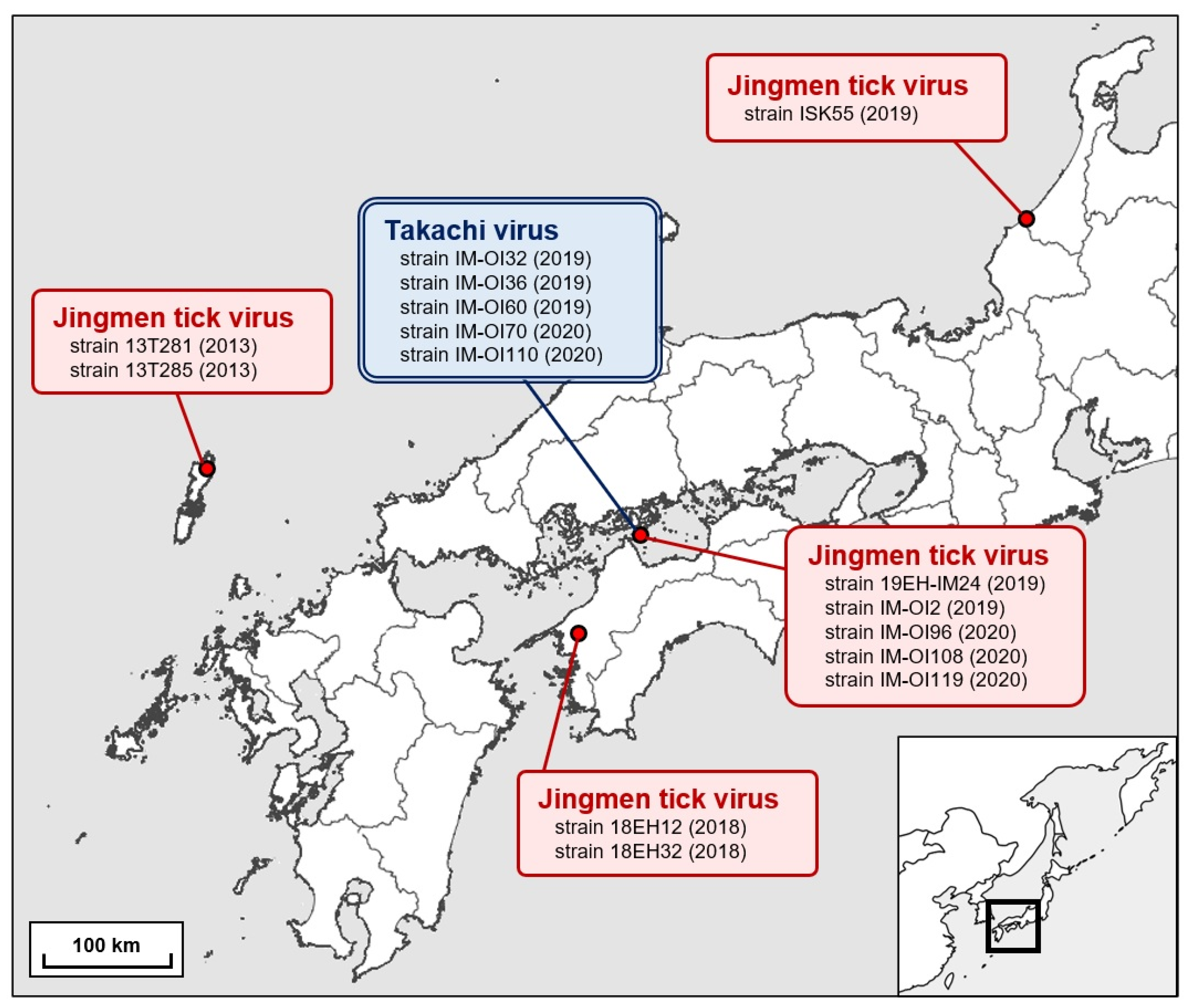 Viruses 13 02547 g001