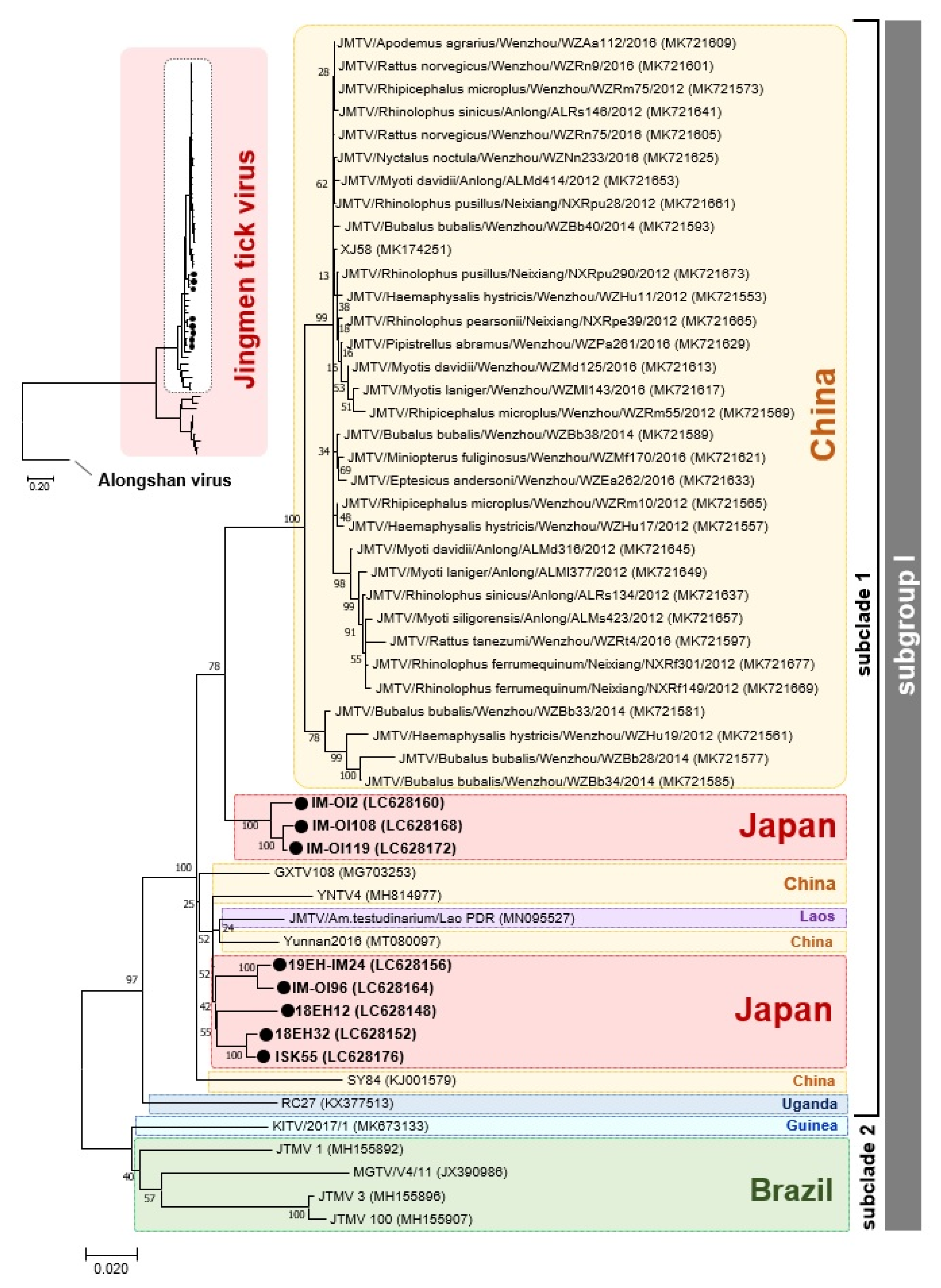 Viruses 13 02547 g002