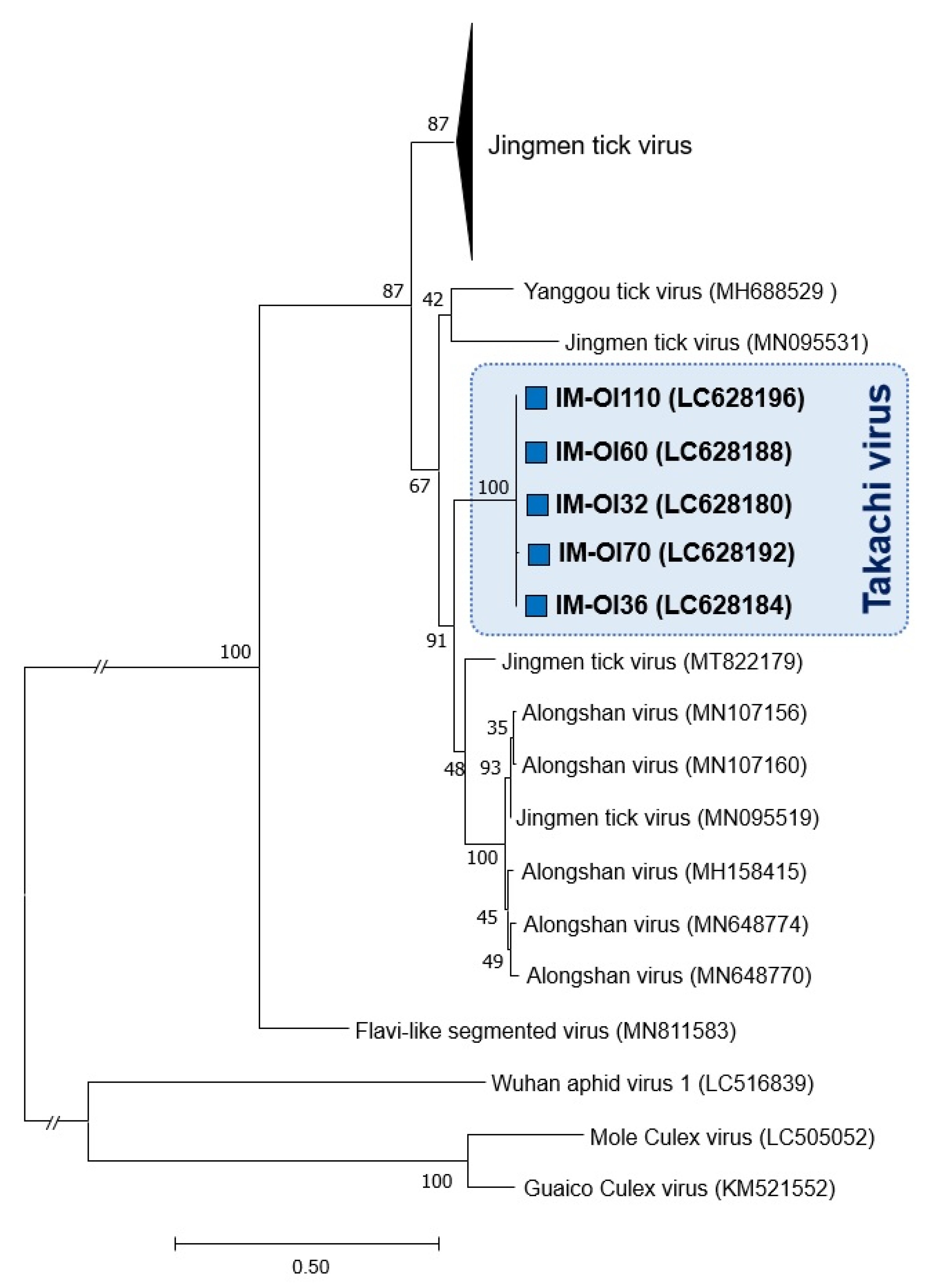 Viruses 13 02547 g004
