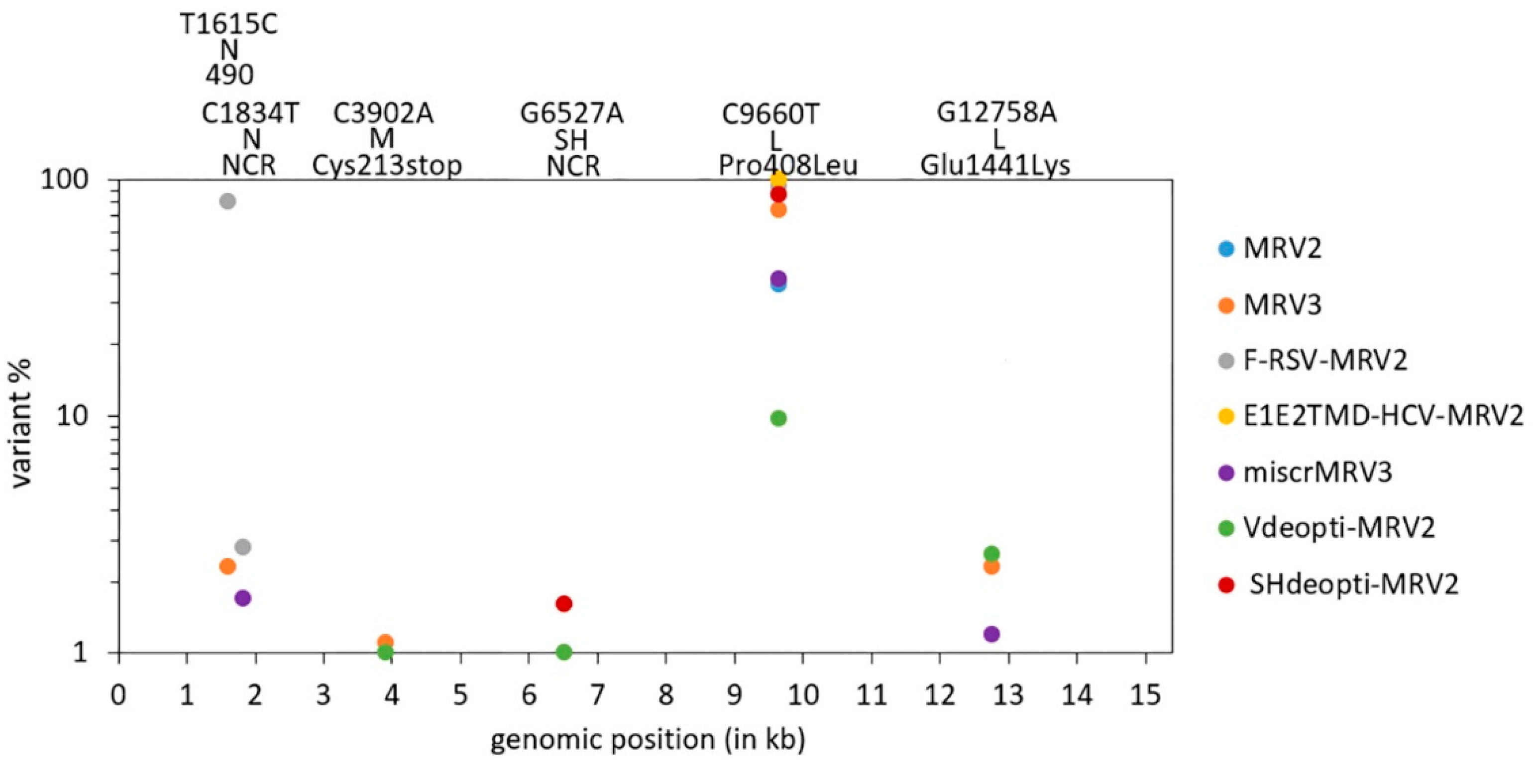 Viruses 13 02550 g003