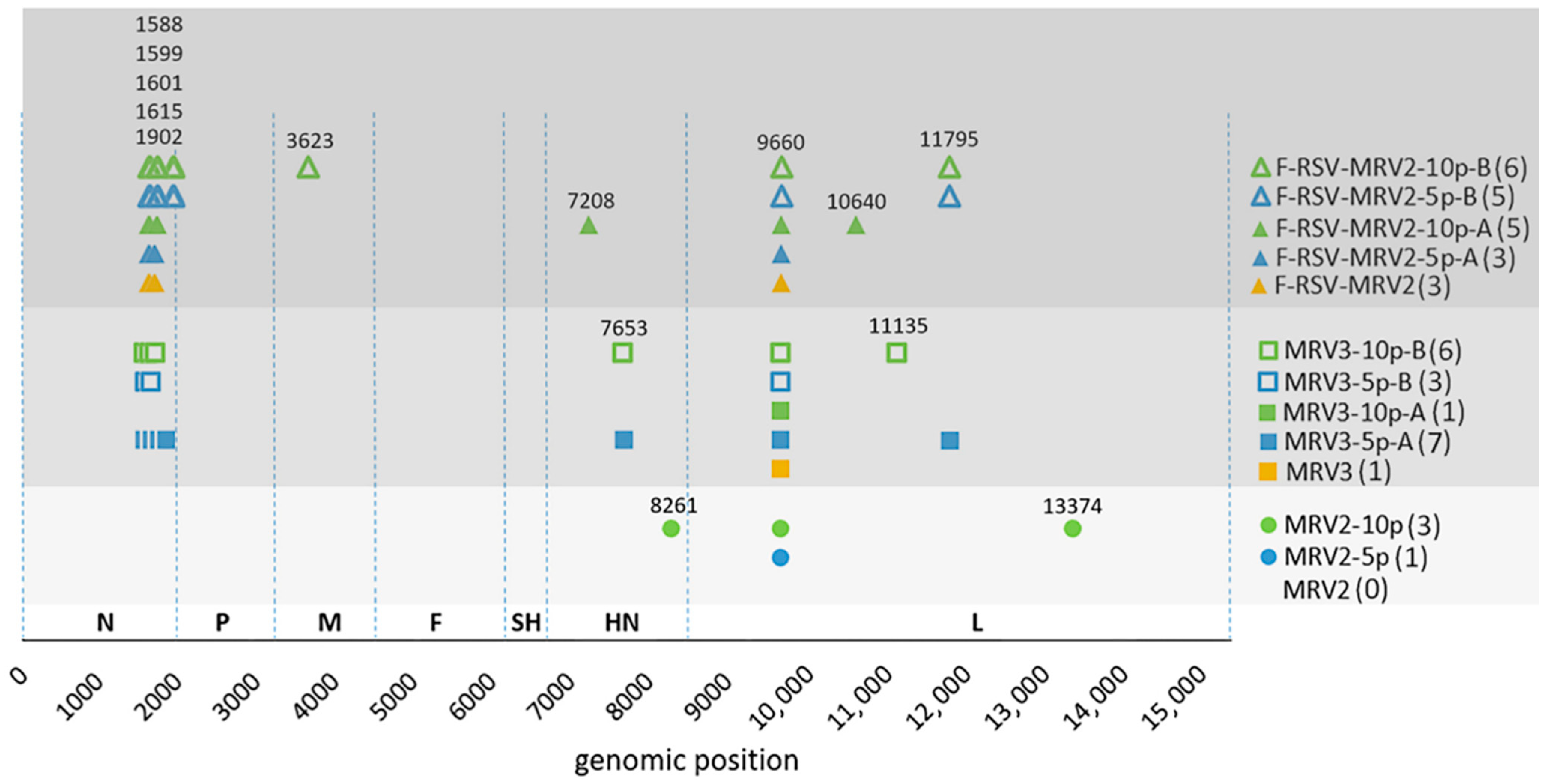 Viruses 13 02550 g004