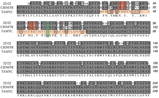 Viruses 13 02551 g0a1 550