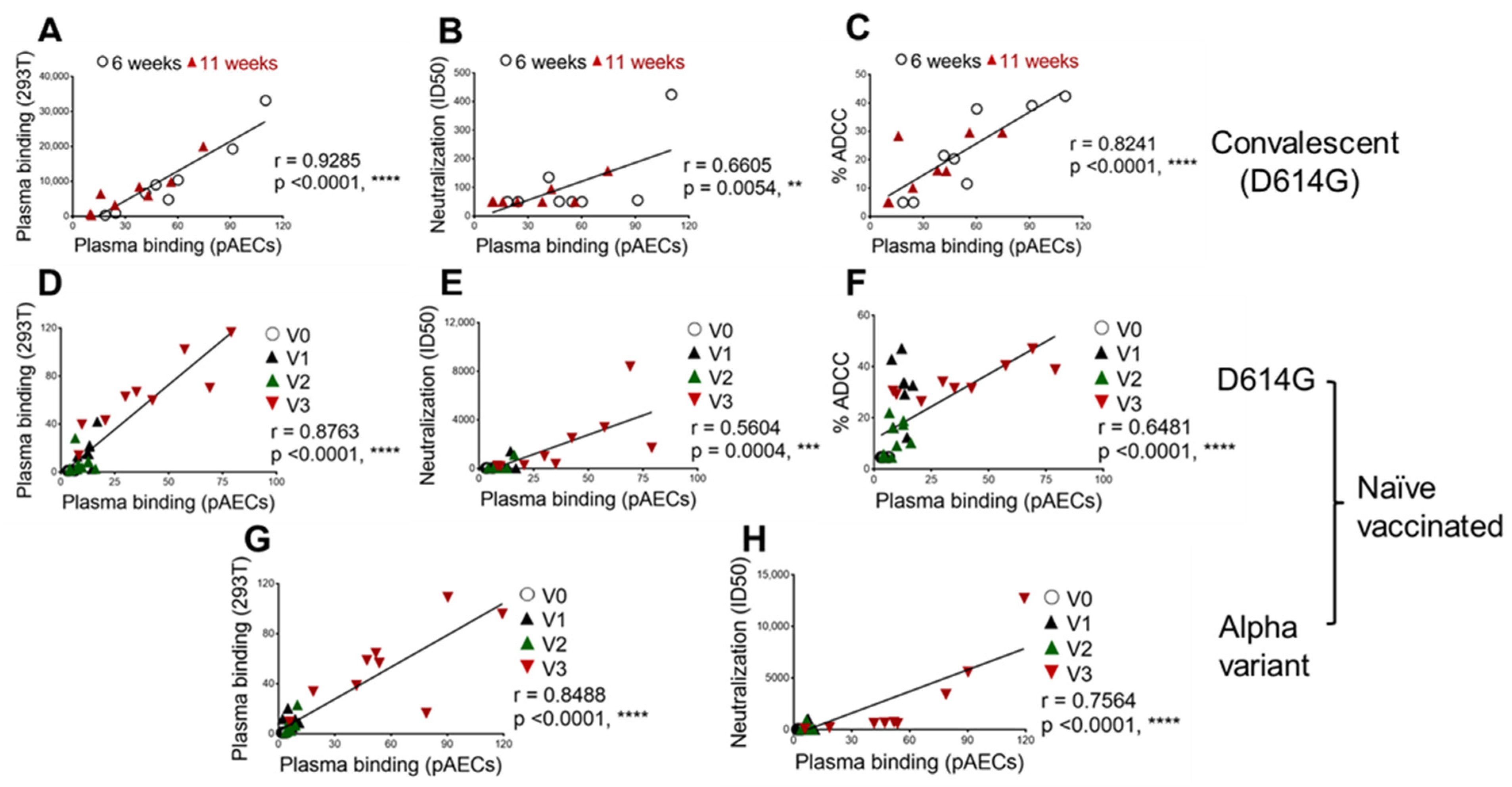 Viruses 14 00005 g003