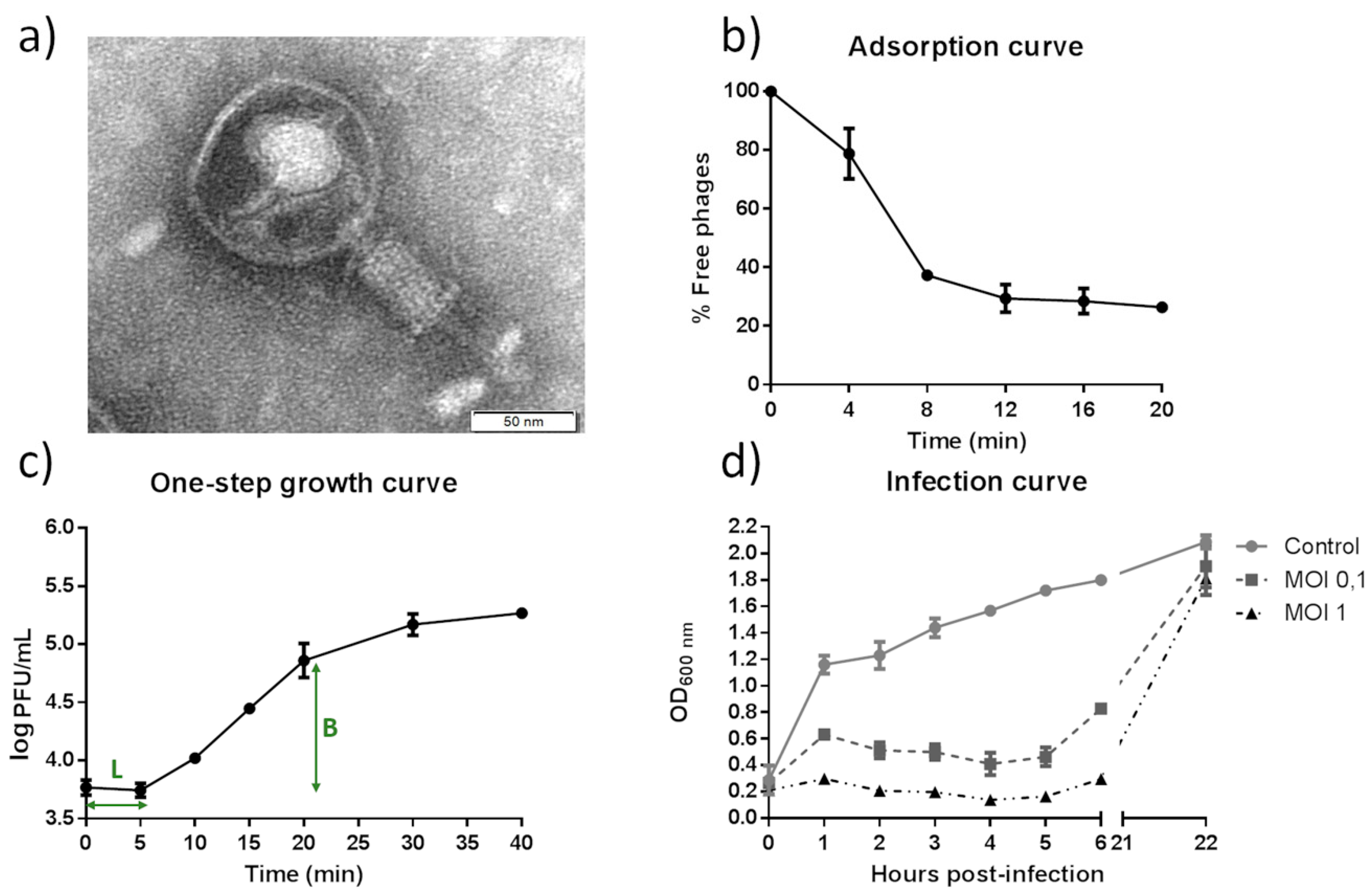 Viruses 14 00006 g001