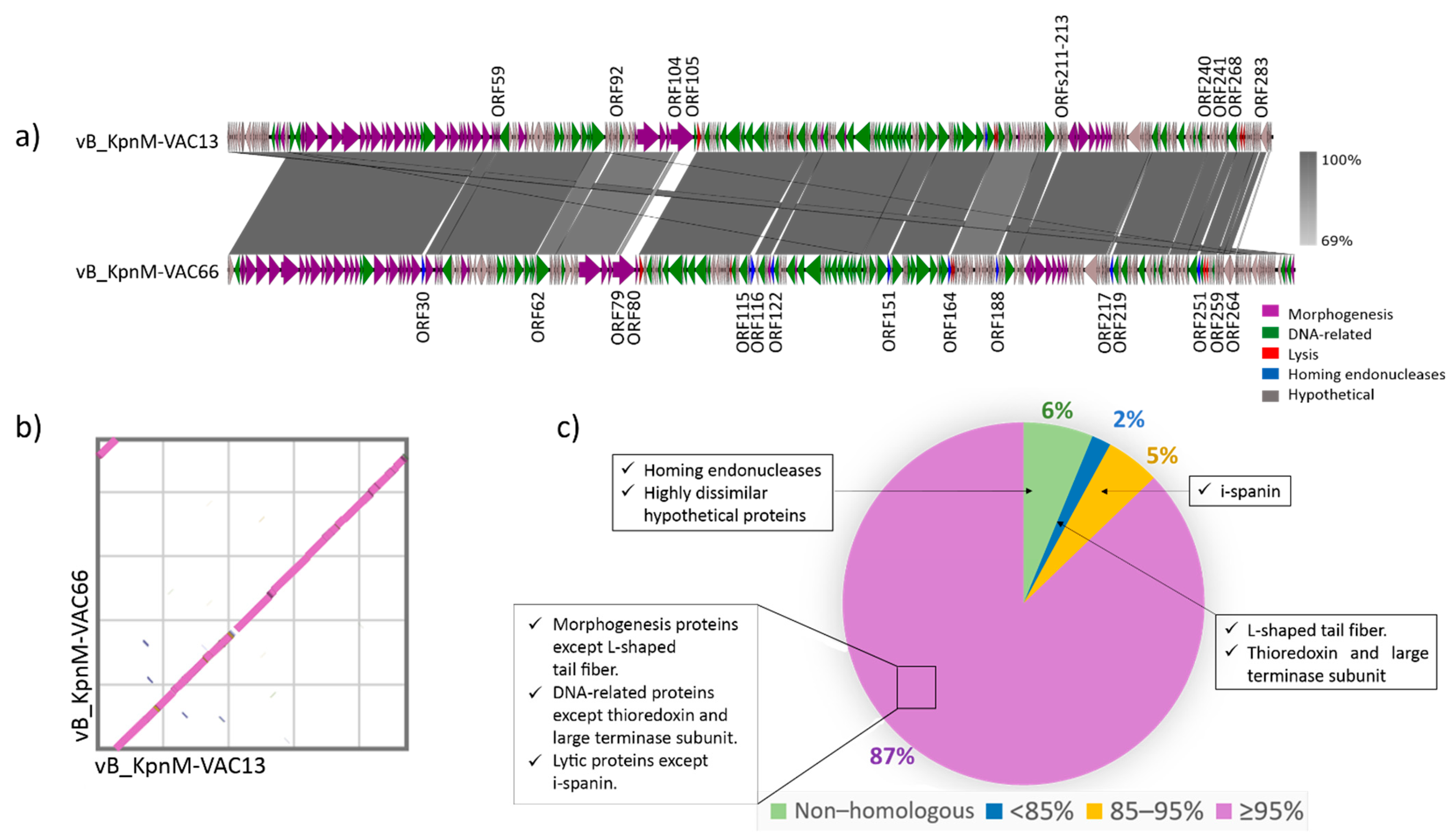 Viruses 14 00006 g003