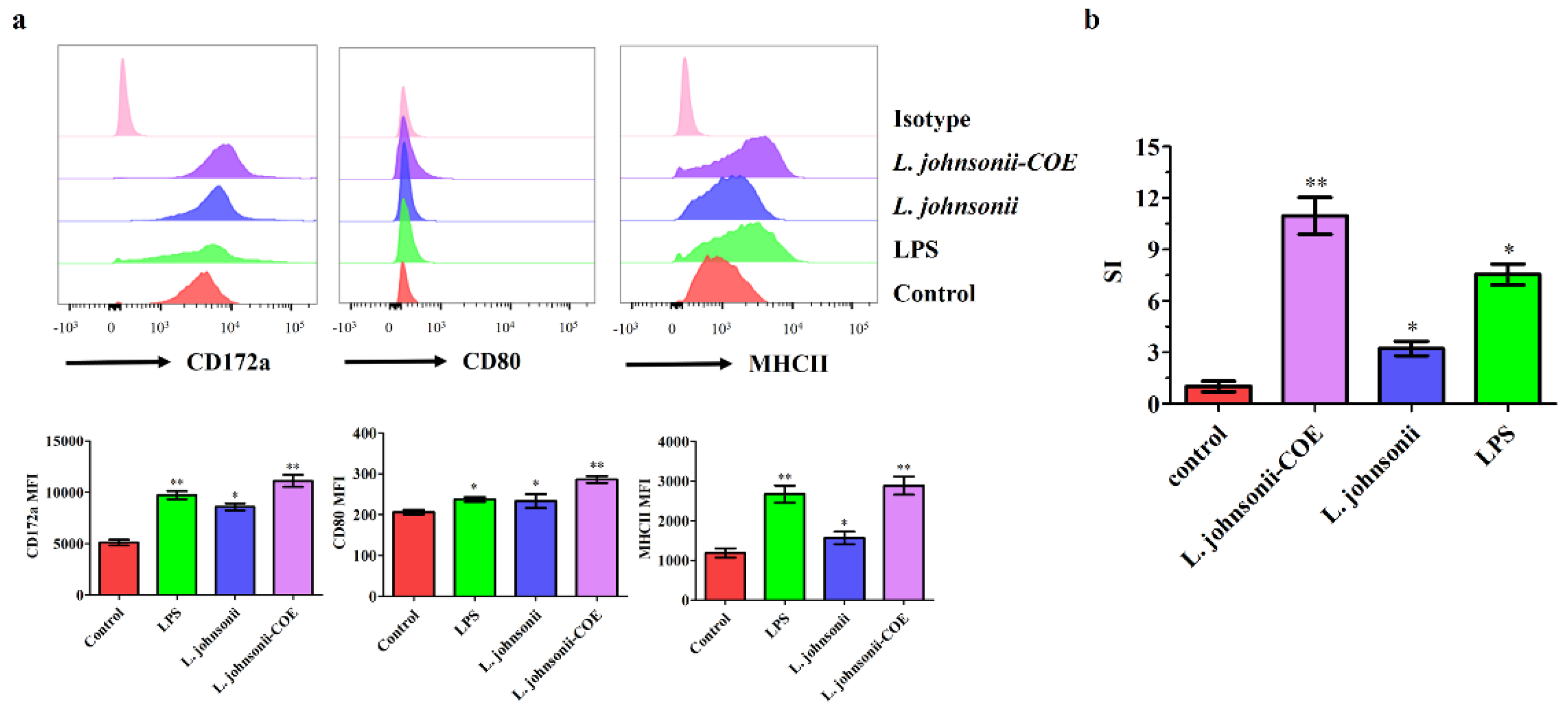 Viruses 14 00007 g004