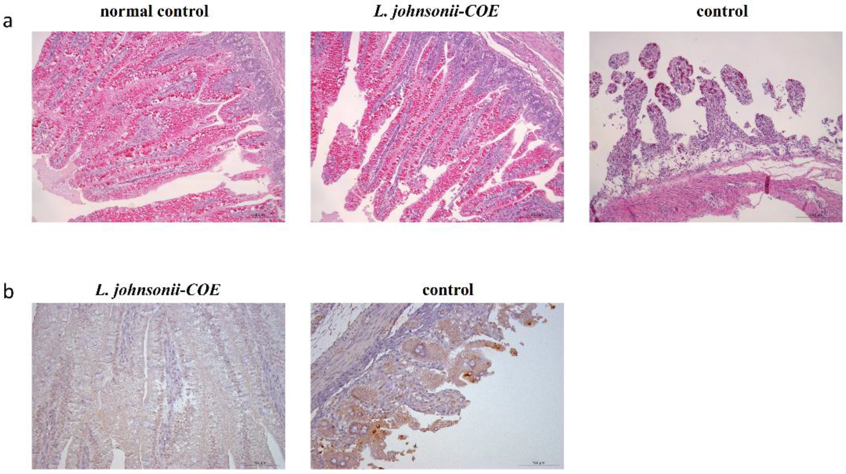Viruses 14 00007 g010