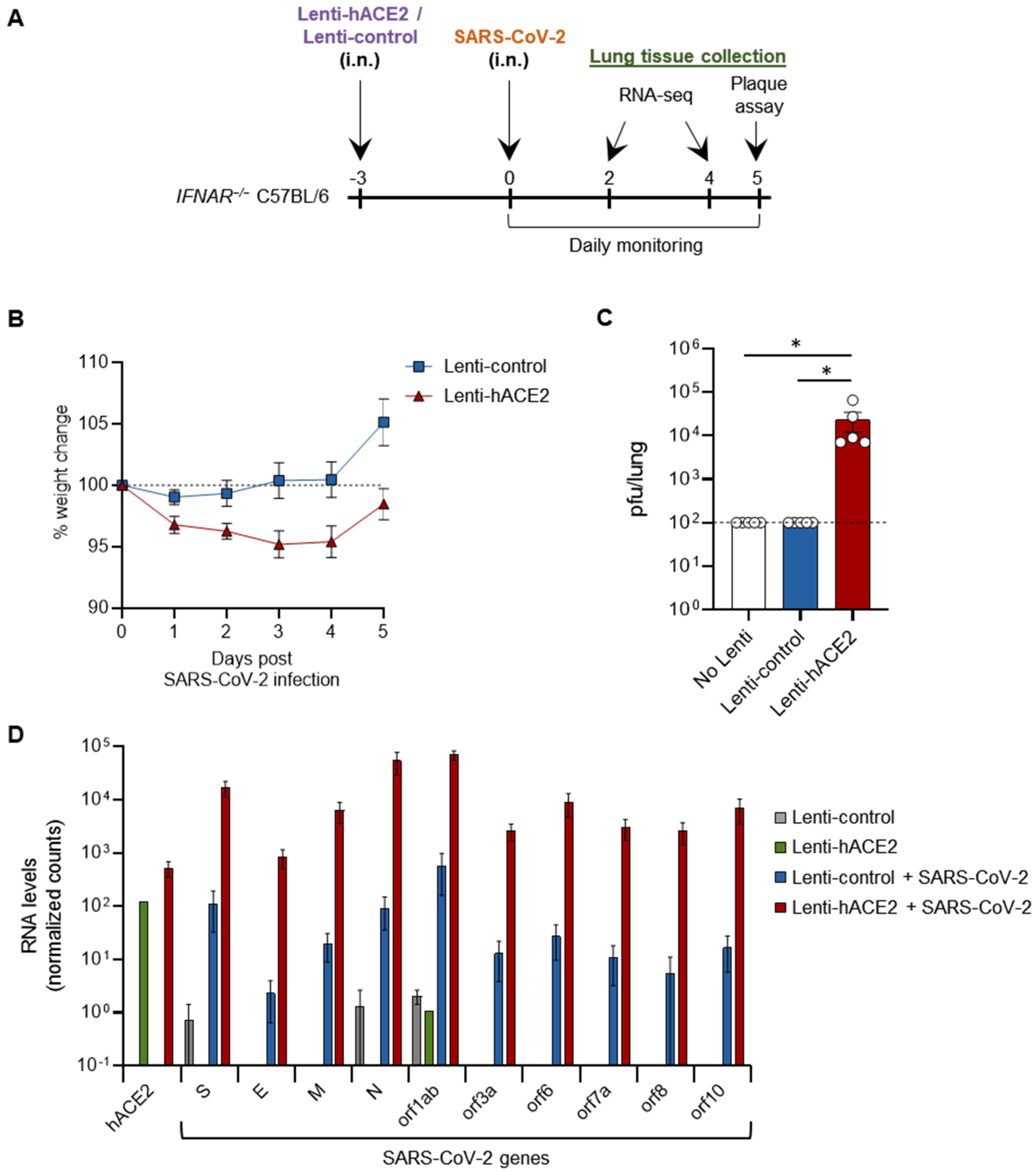 Viruses 14 00011 g002 Viruses 14 00011 g002