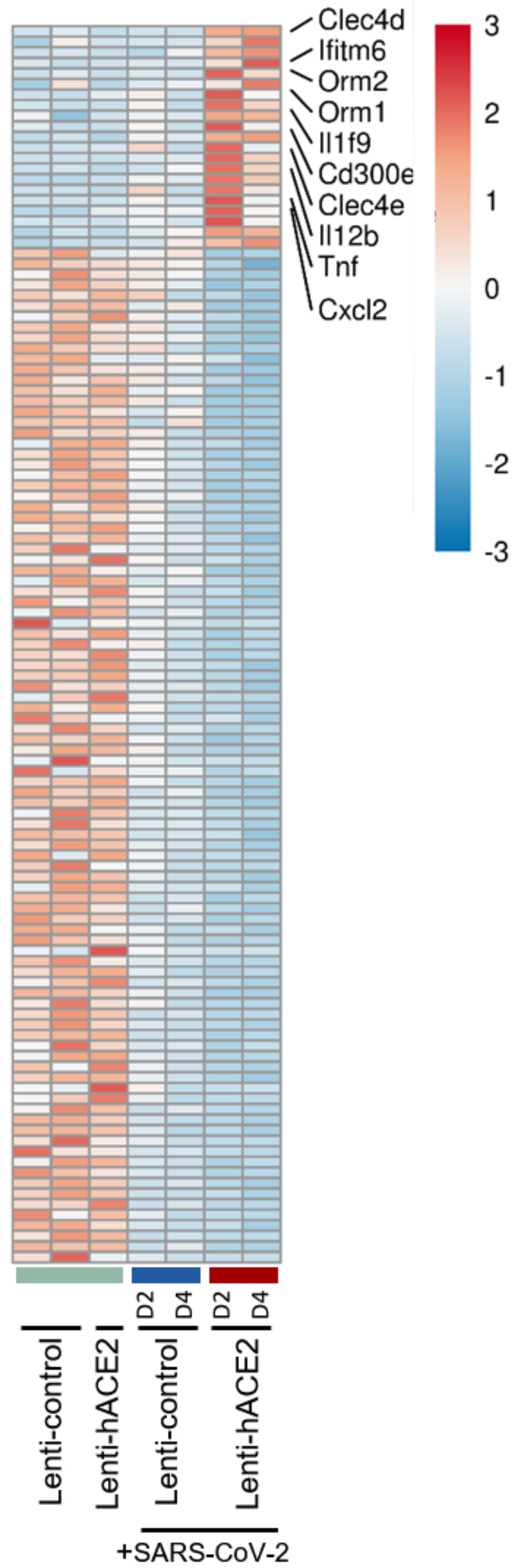 Viruses 14 00011 g004 Viruses 14 00011 g004