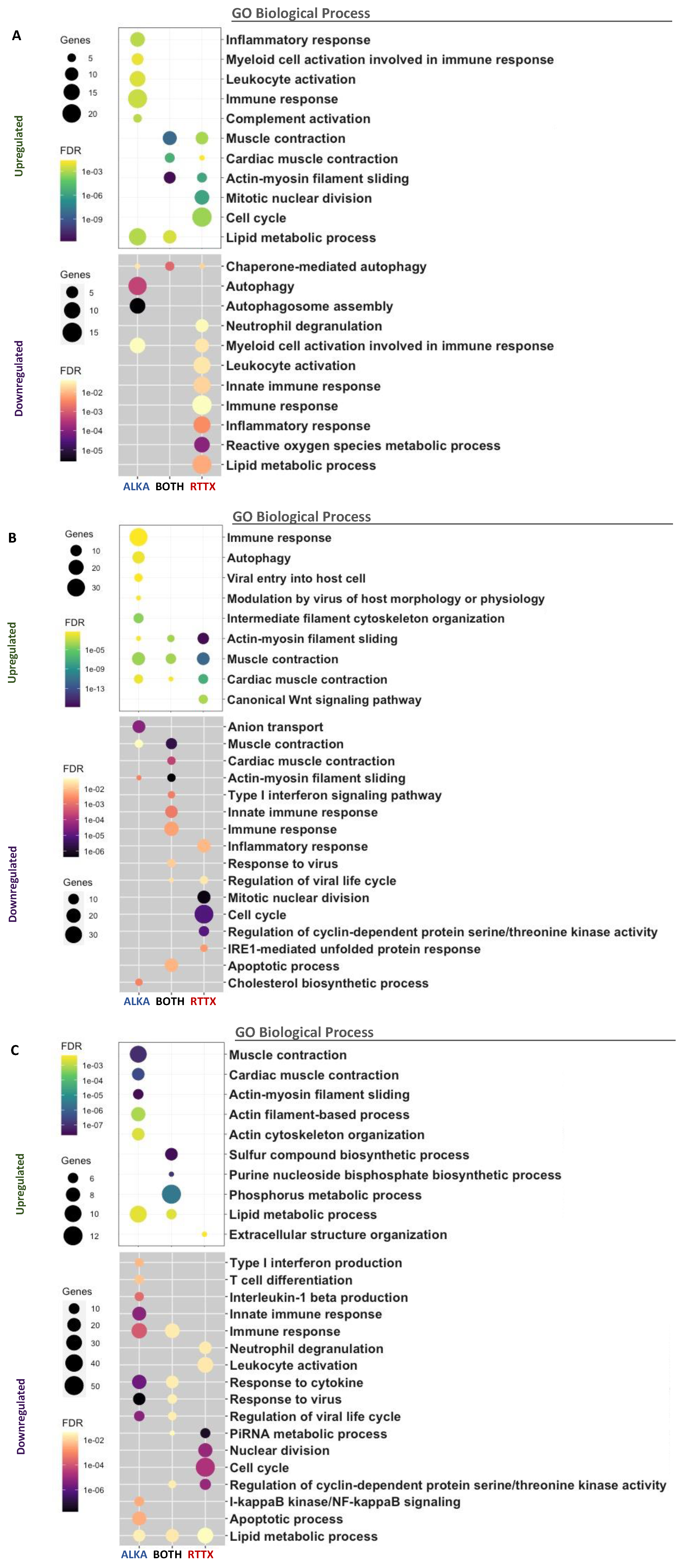 Viruses 14 00021 g002