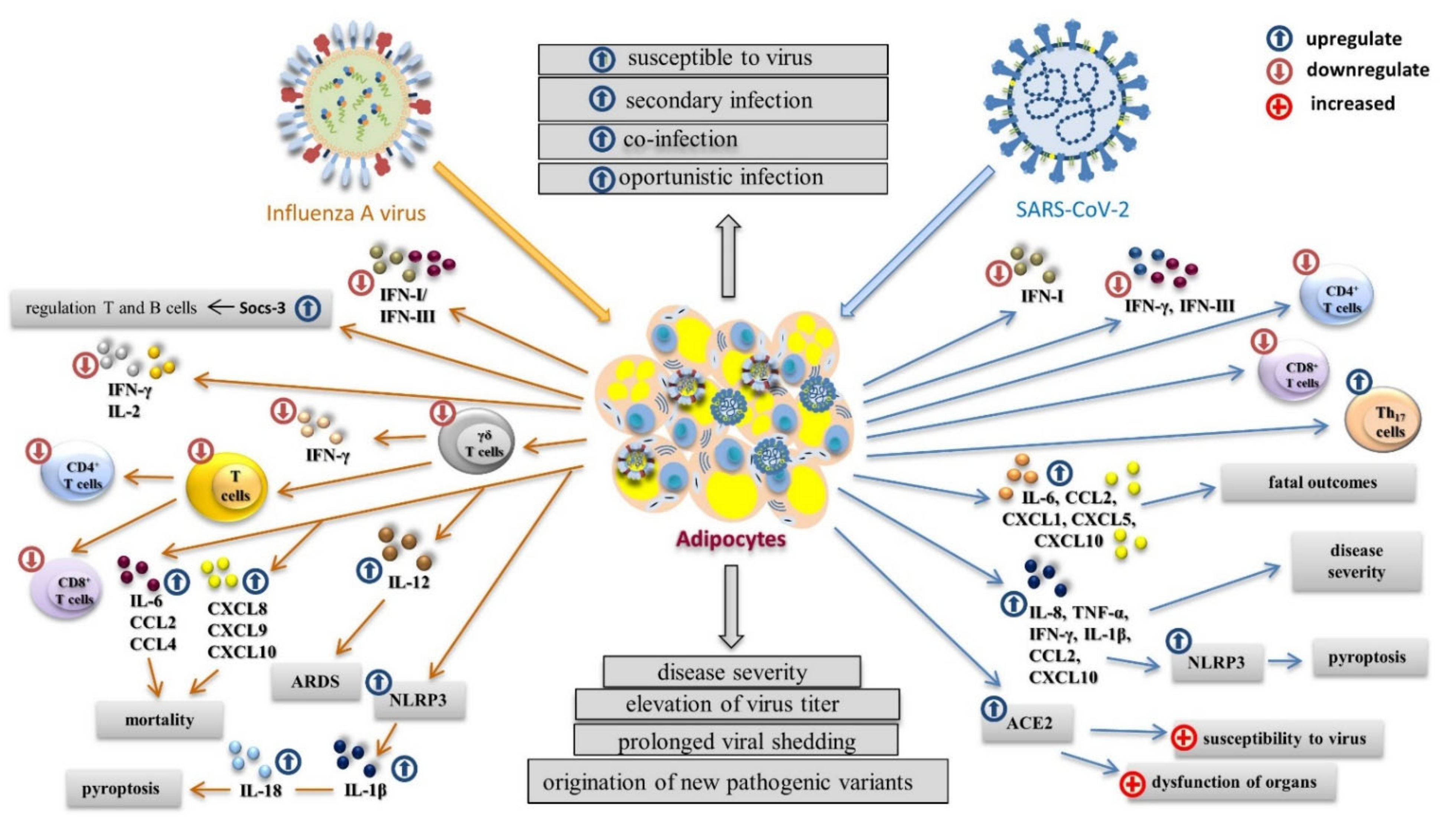 Viruses 14 00025 g003 Viruses 14 00025 g003