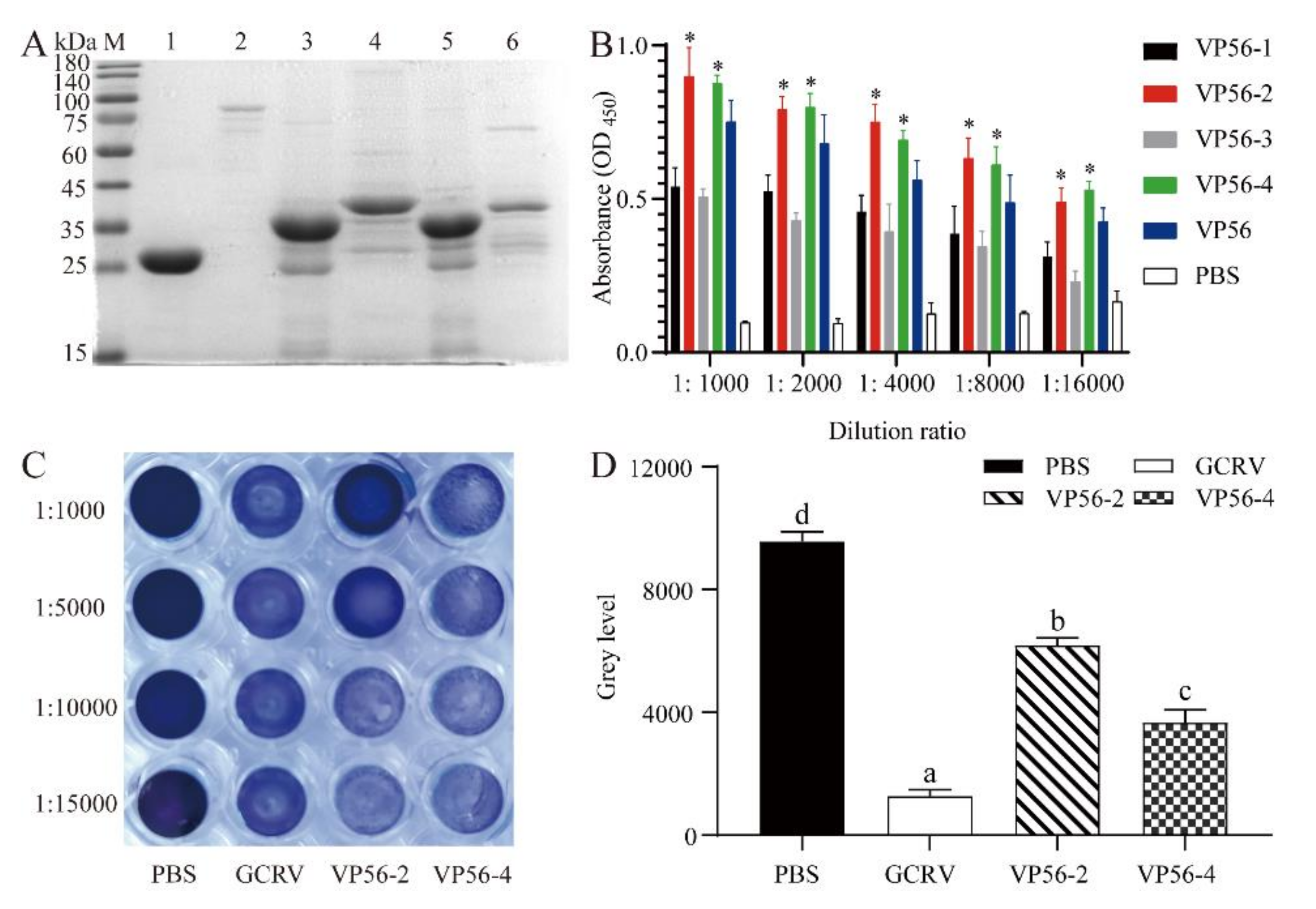Viruses 14 00030 g001