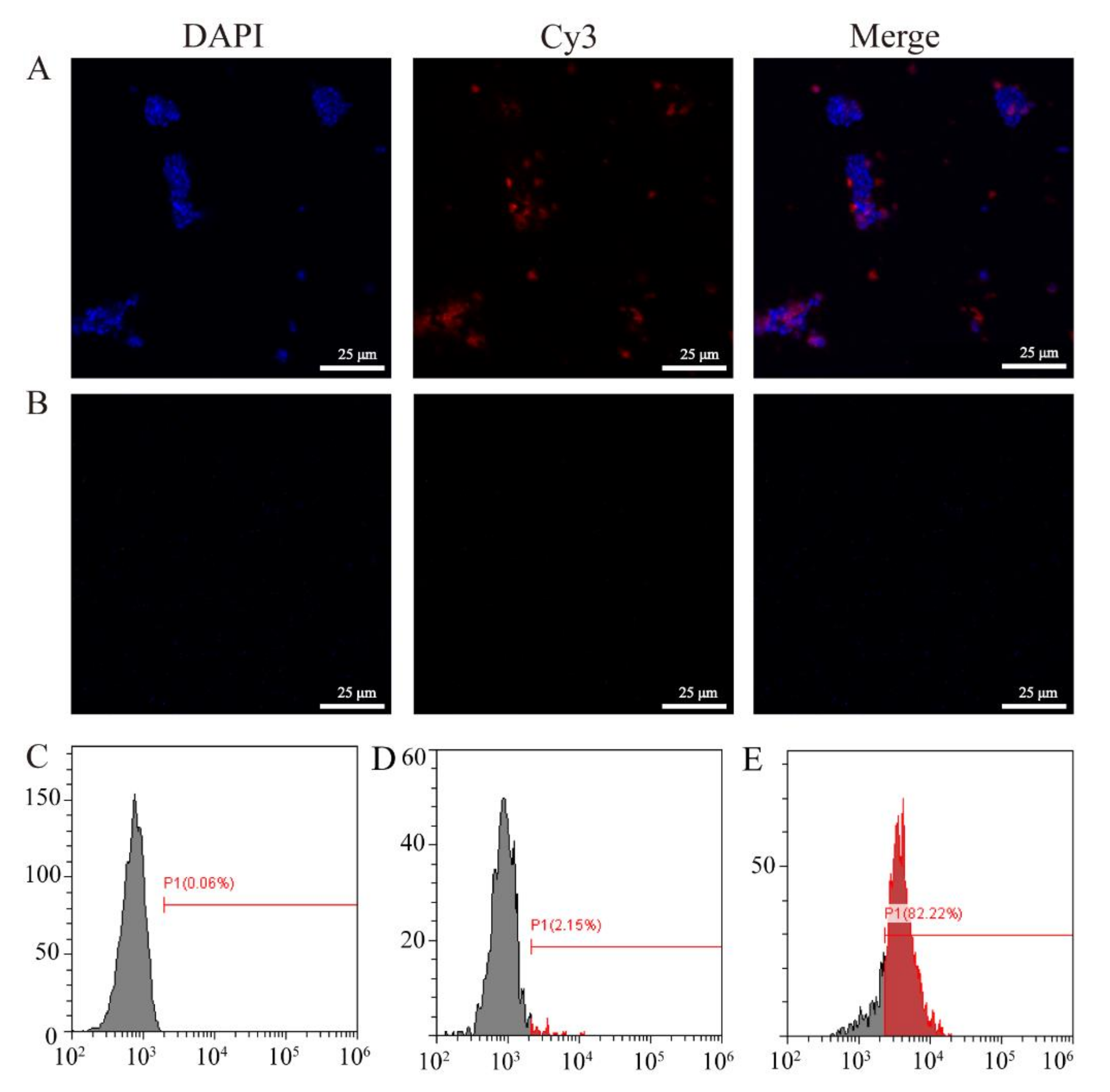 Viruses 14 00030 g003