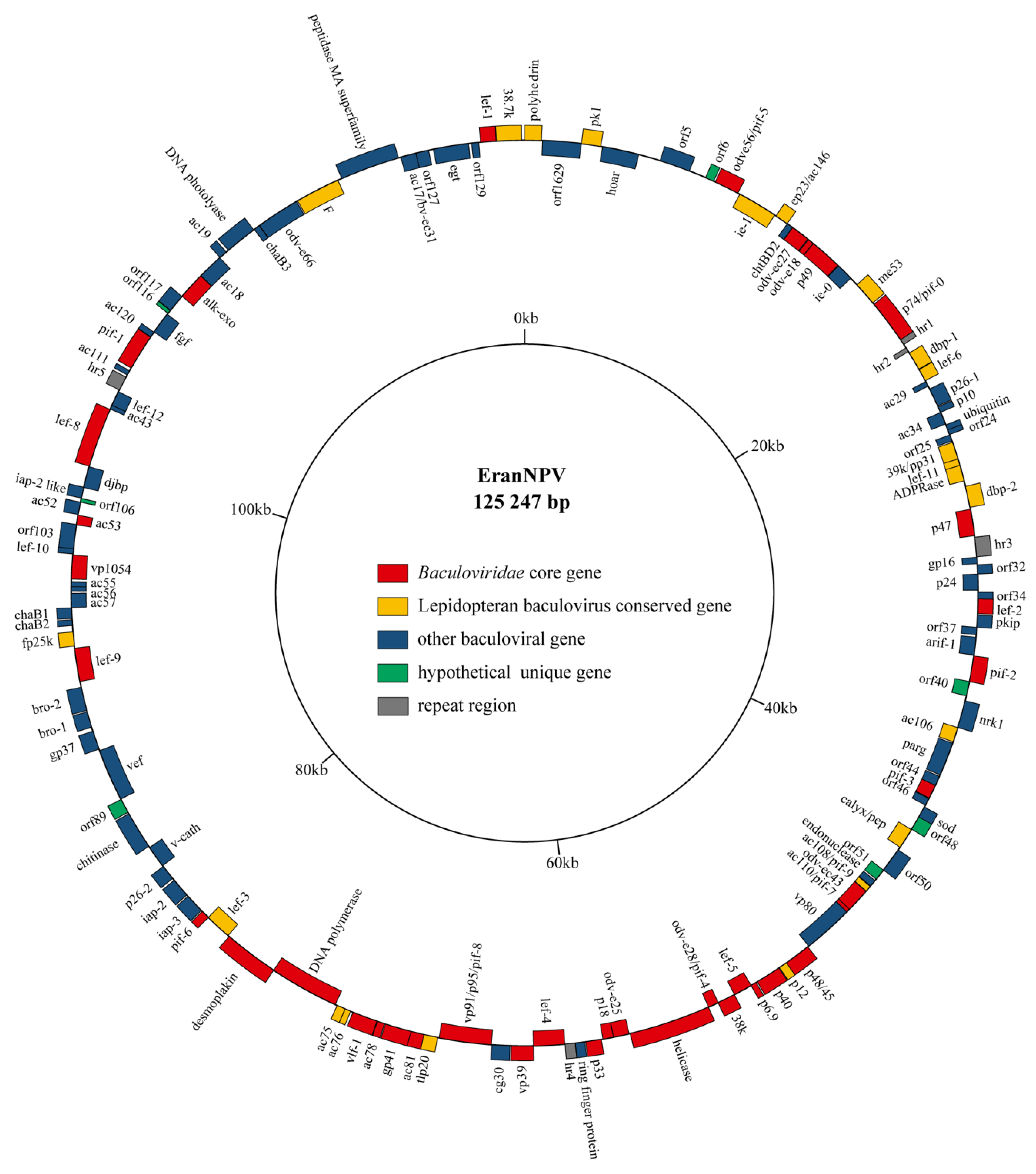 Viruses 14 00034 g002 Viruses 14 00034 g002