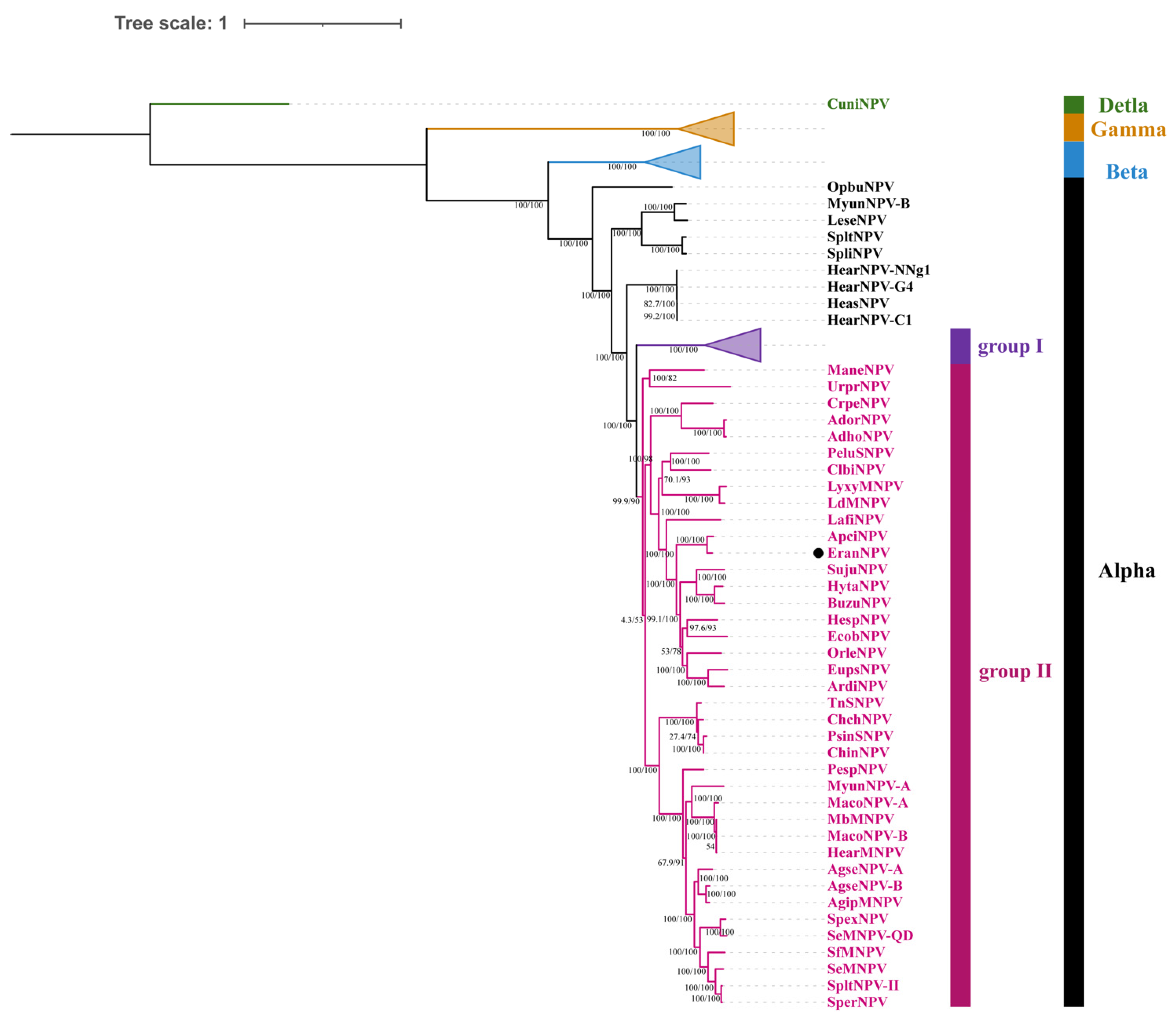 Viruses 14 00034 g004 Viruses 14 00034 g004