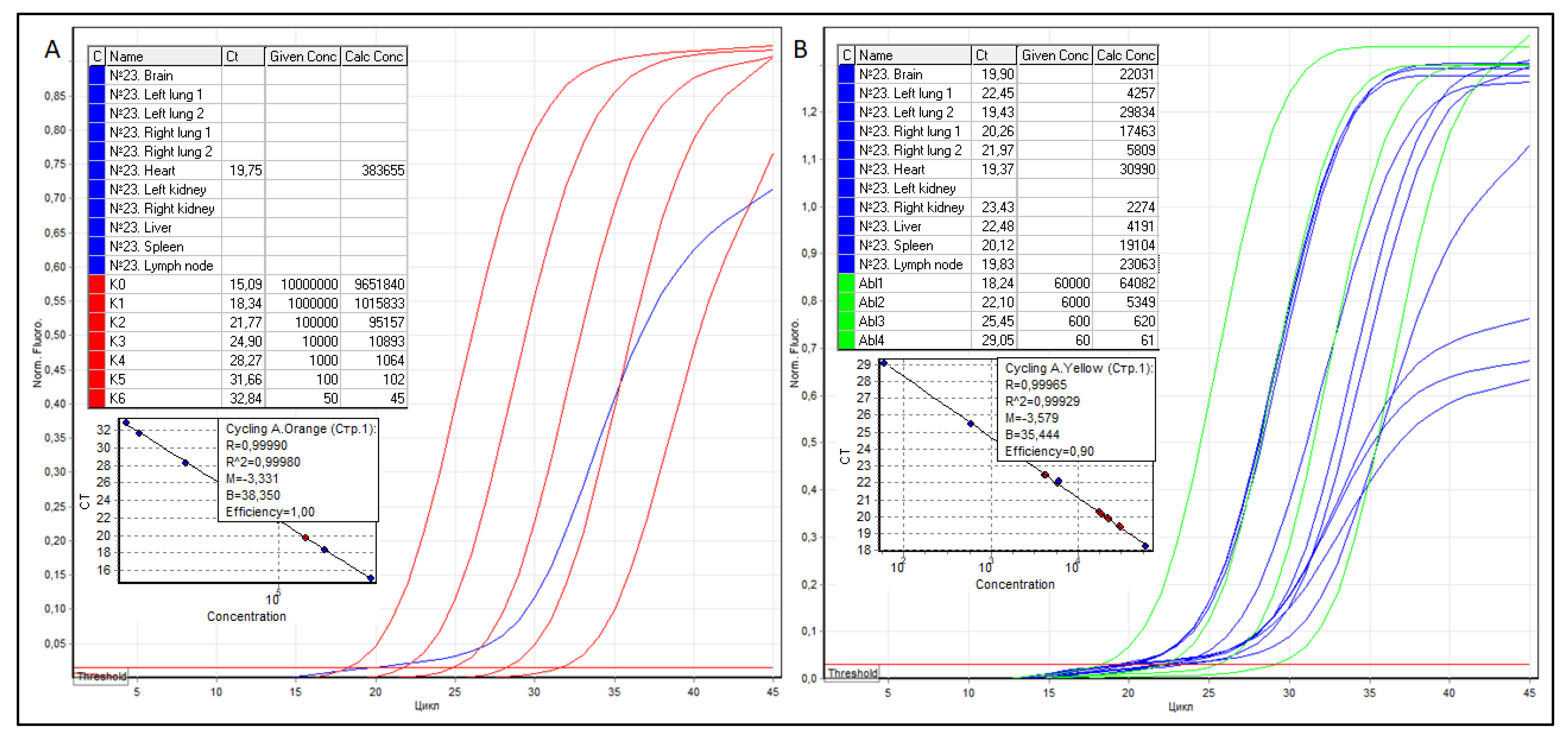 Viruses 14 00039 g002