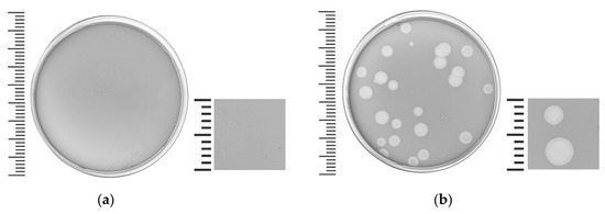 Viruses 14 00042 g001