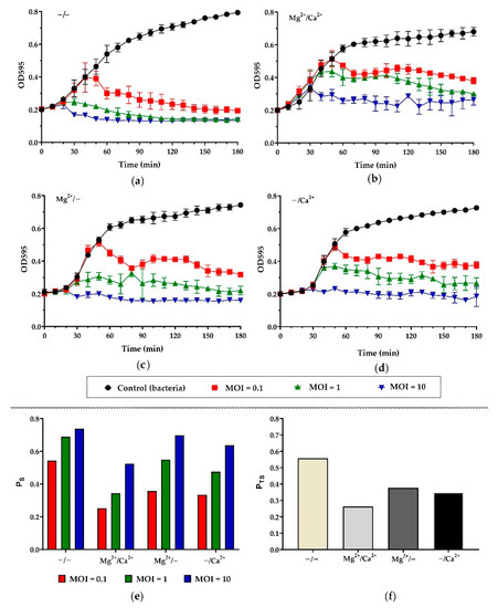 Viruses 14 00042 g004