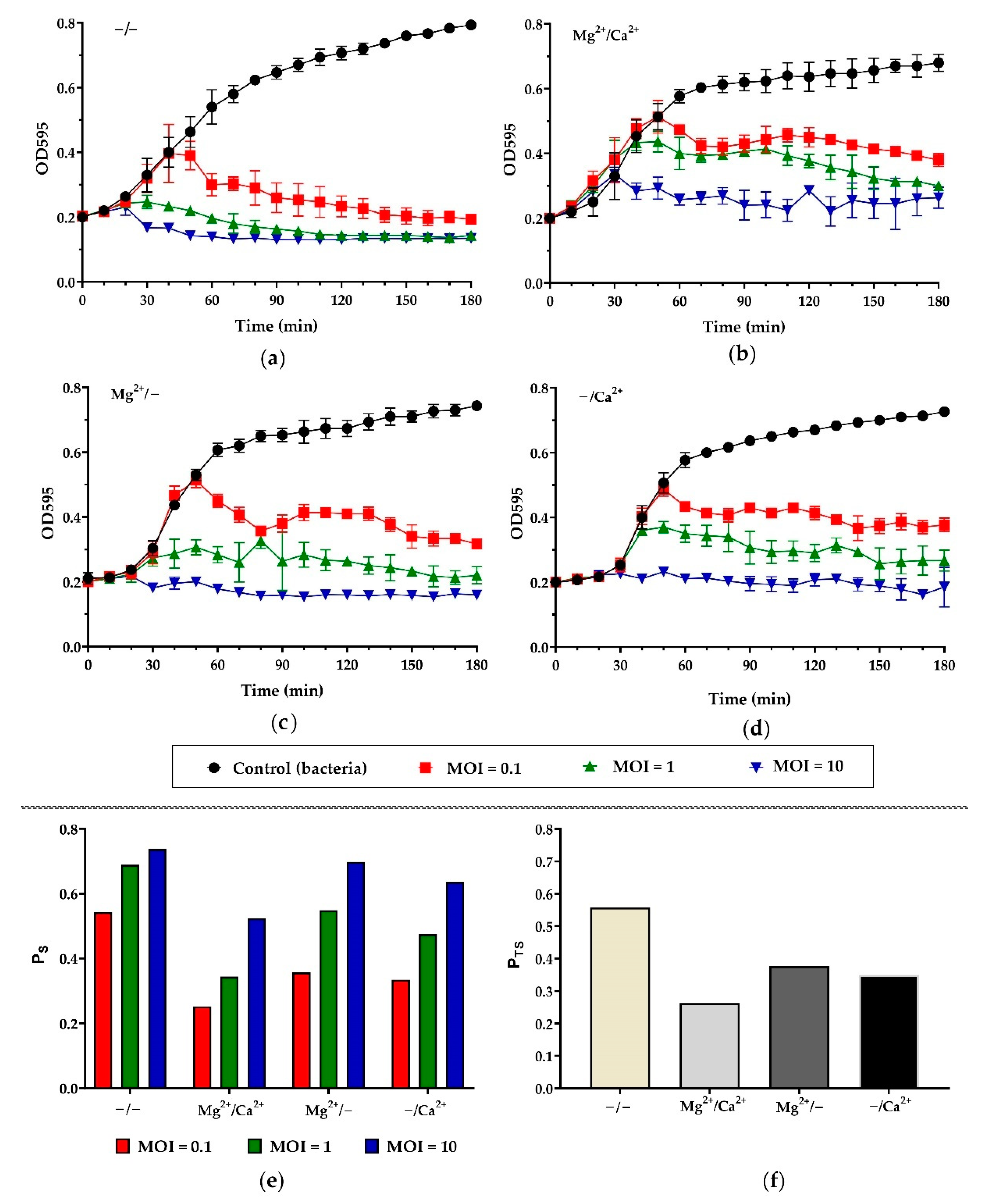 Viruses 14 00042 g004