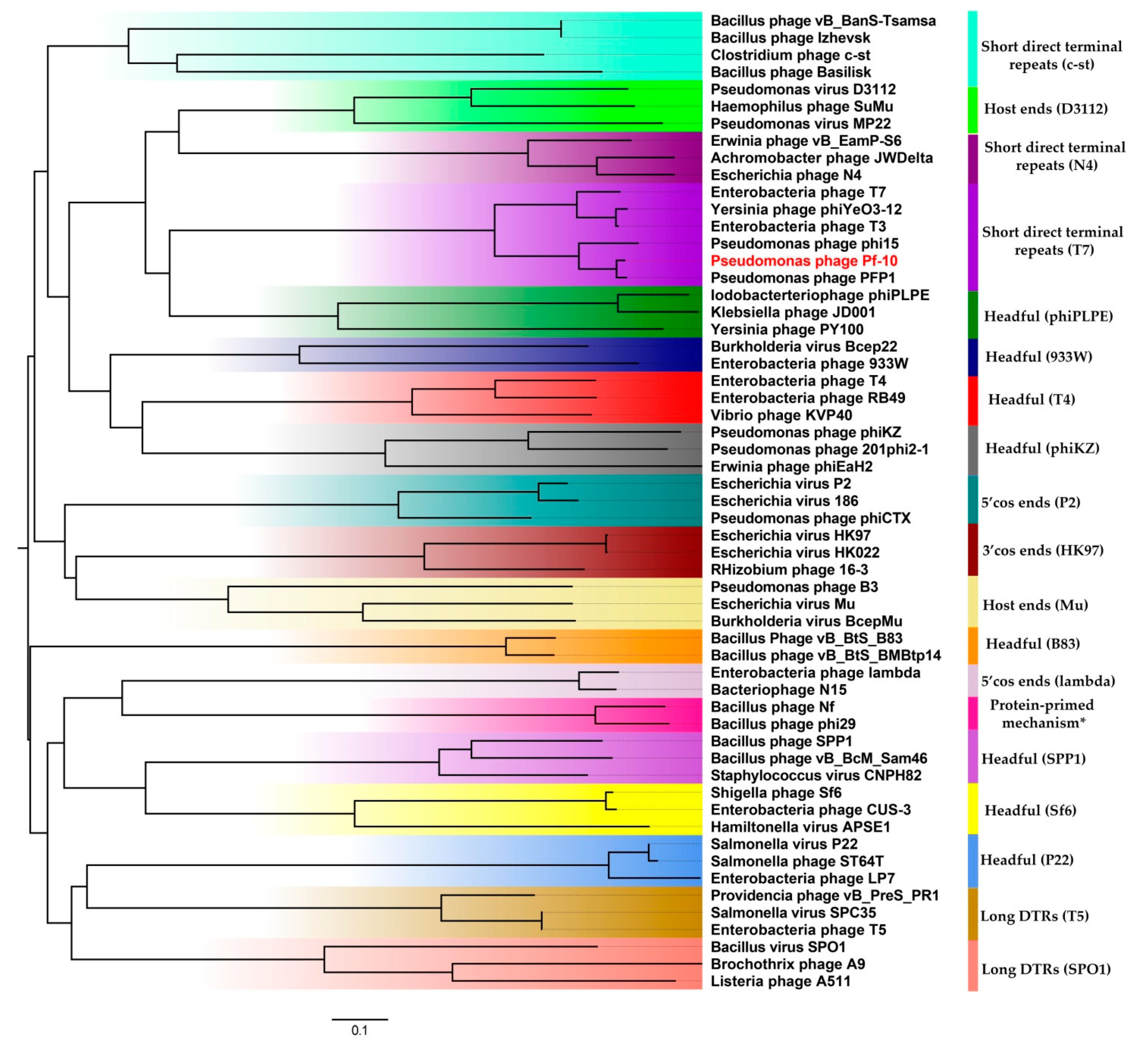 Viruses 14 00042 g007