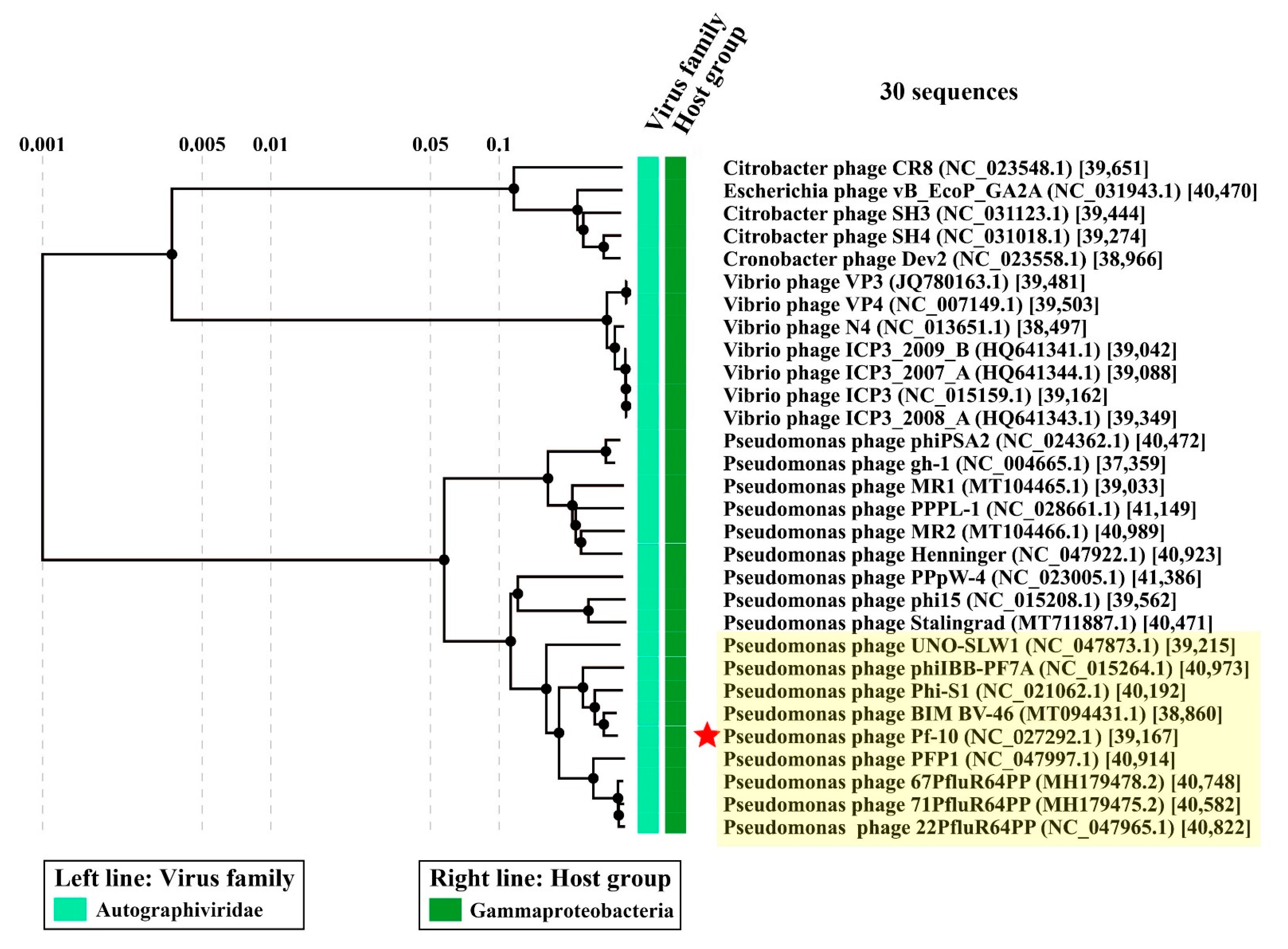 Viruses 14 00042 g009