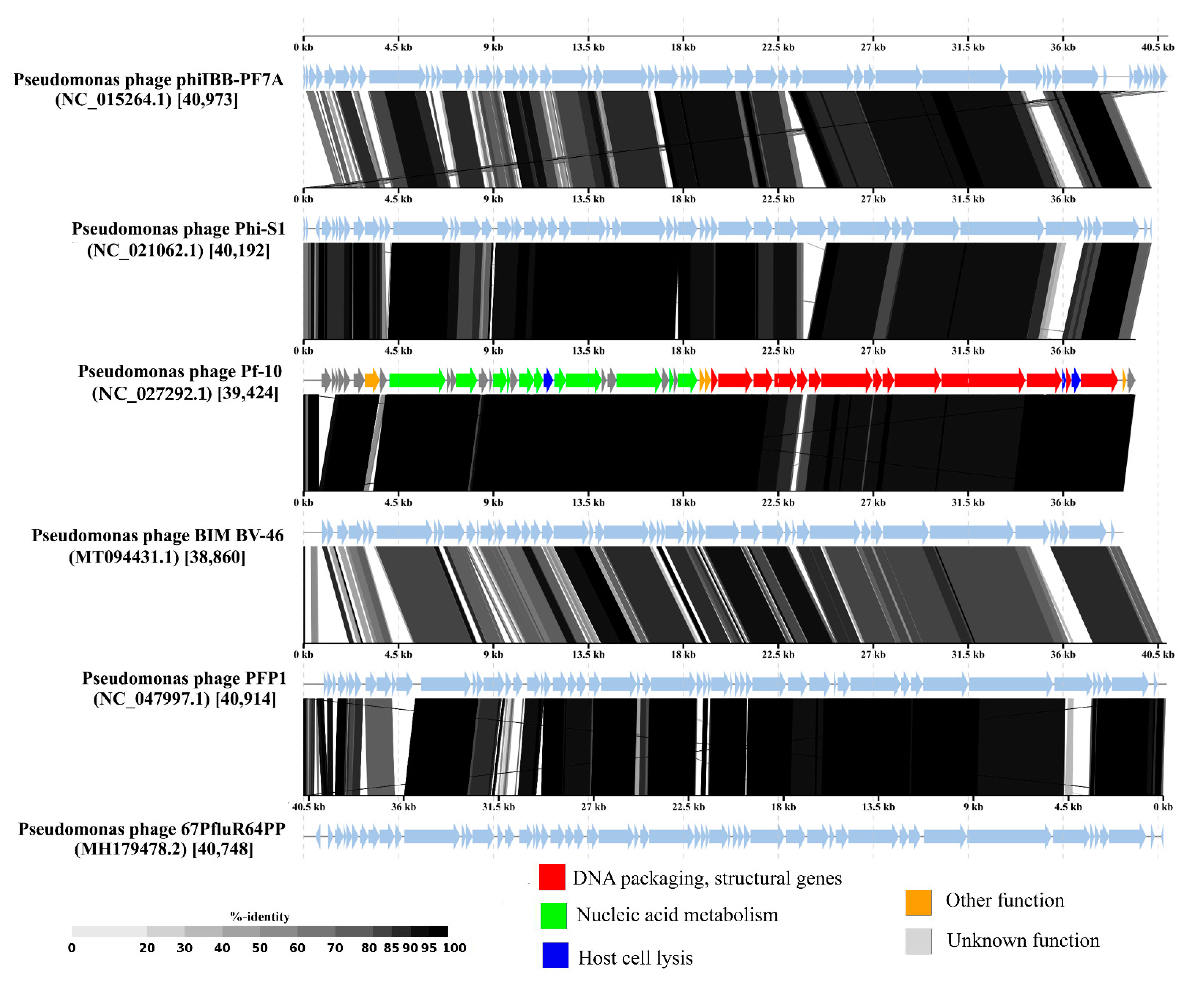 Viruses 14 00042 g010