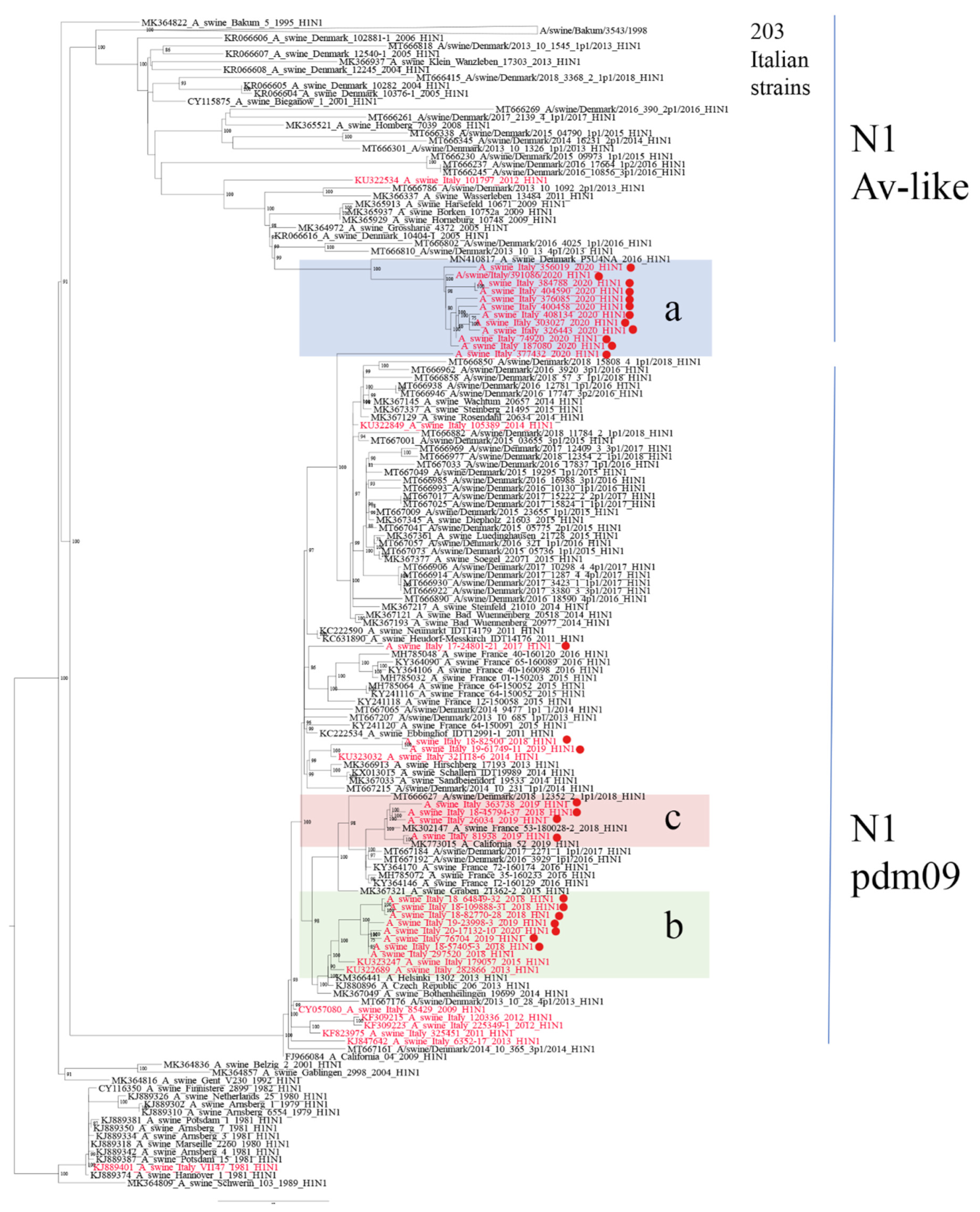Viruses 14 00047 g004 Viruses 14 00047 g004