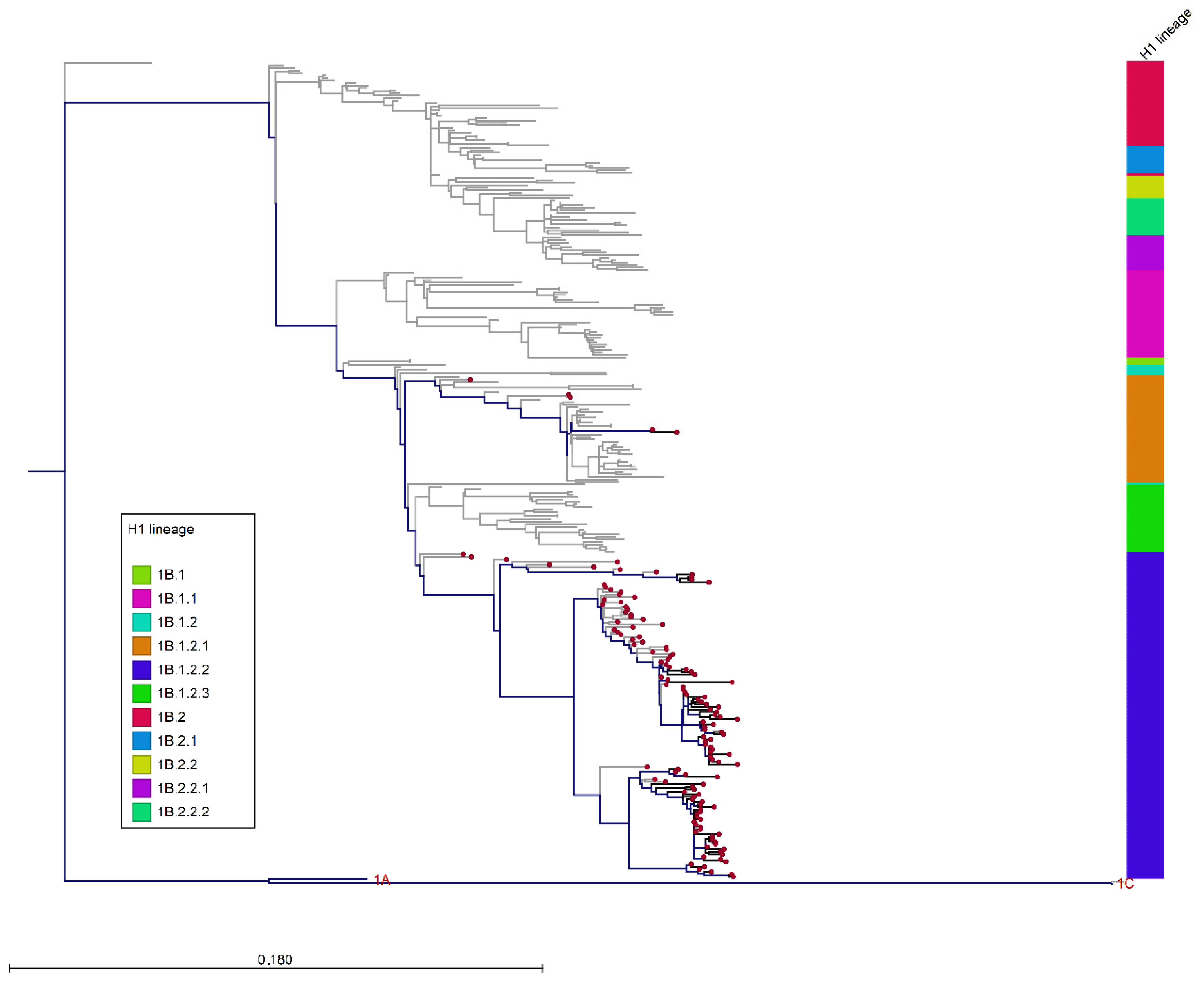 Viruses 14 00047 g005 Viruses 14 00047 g005