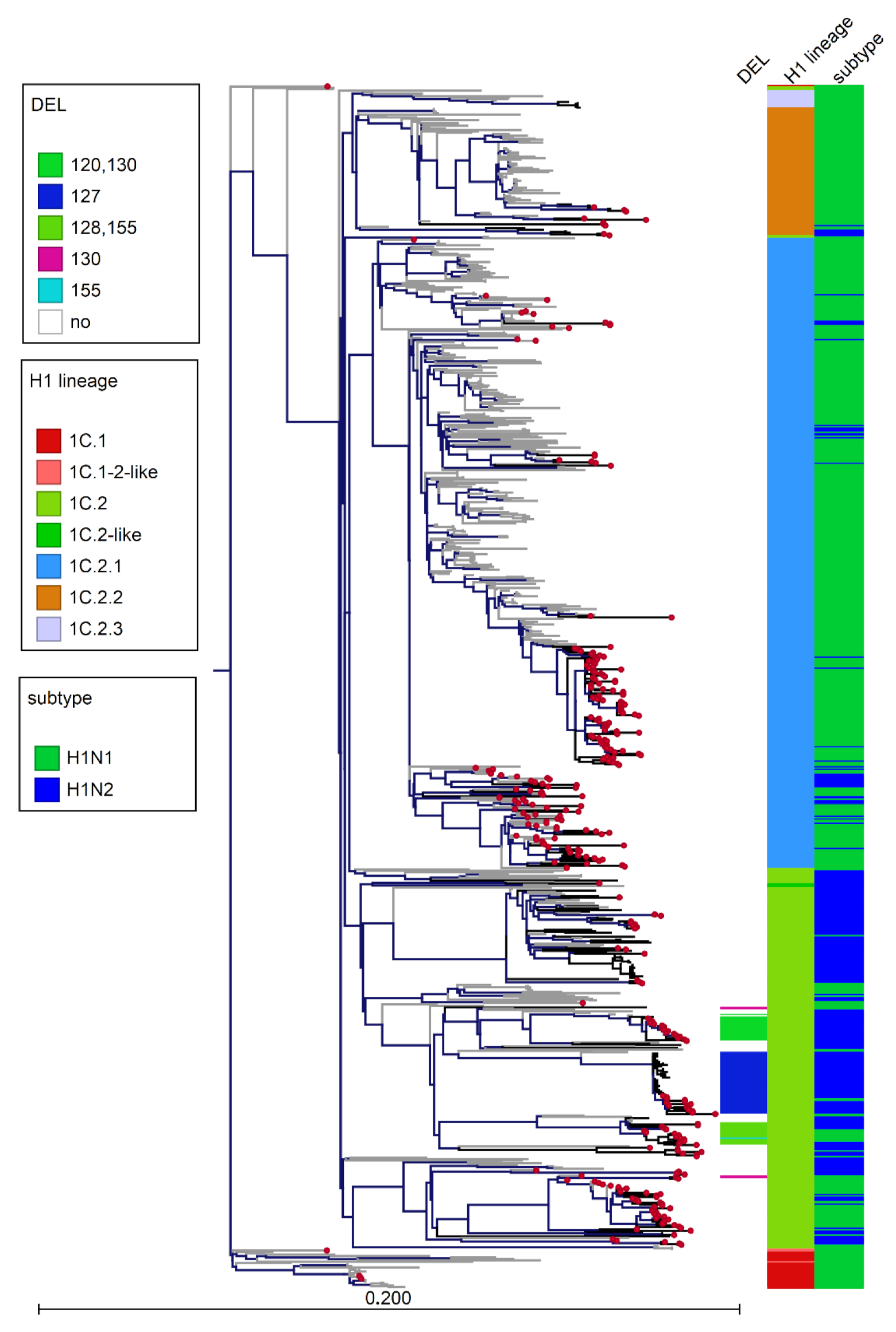 Viruses 14 00047 g006 Viruses 14 00047 g006