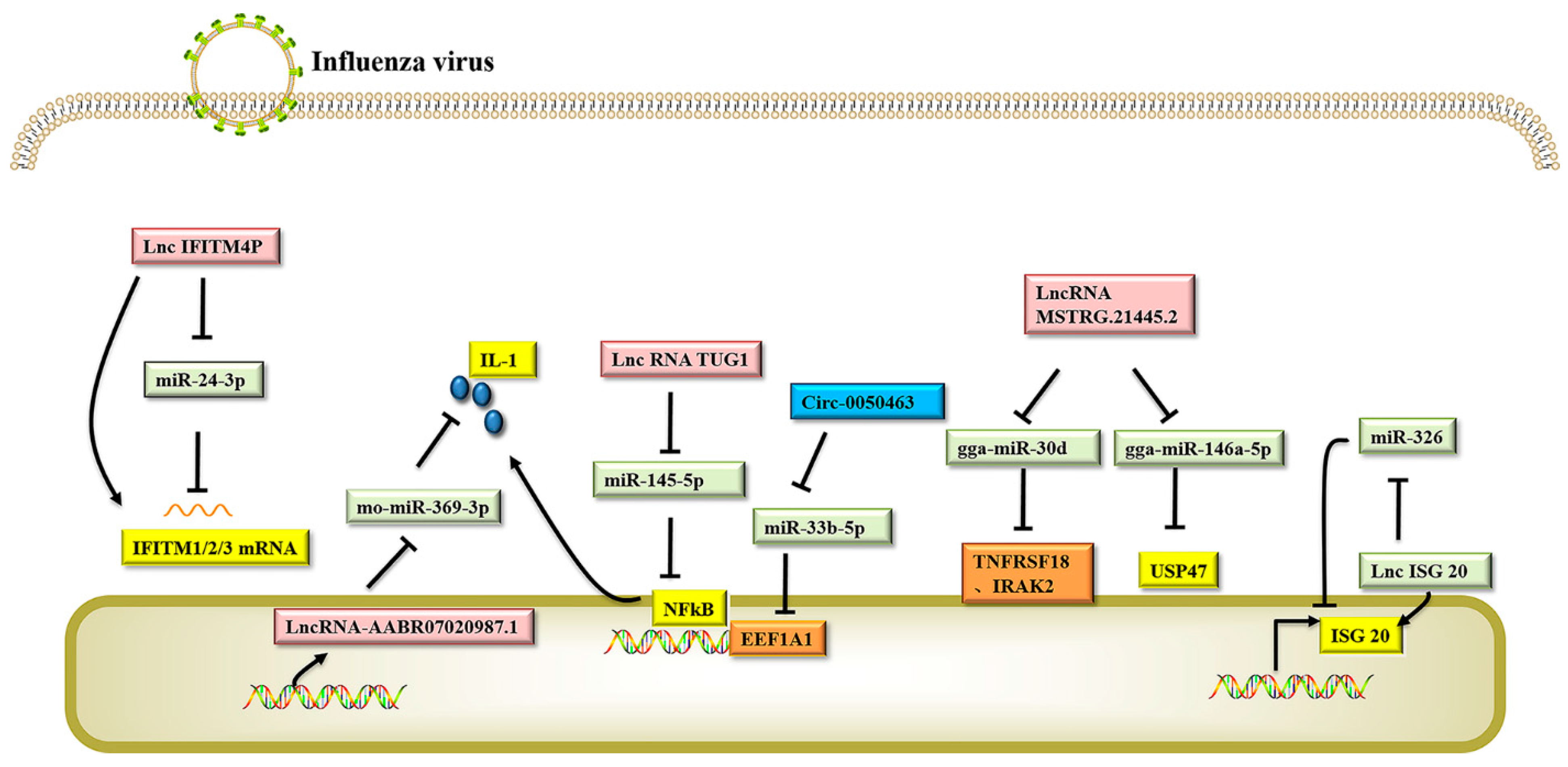 Viruses 14 00051 g002 Viruses 14 00051 g002