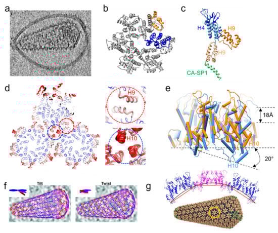 Viruses 14 00054 g002