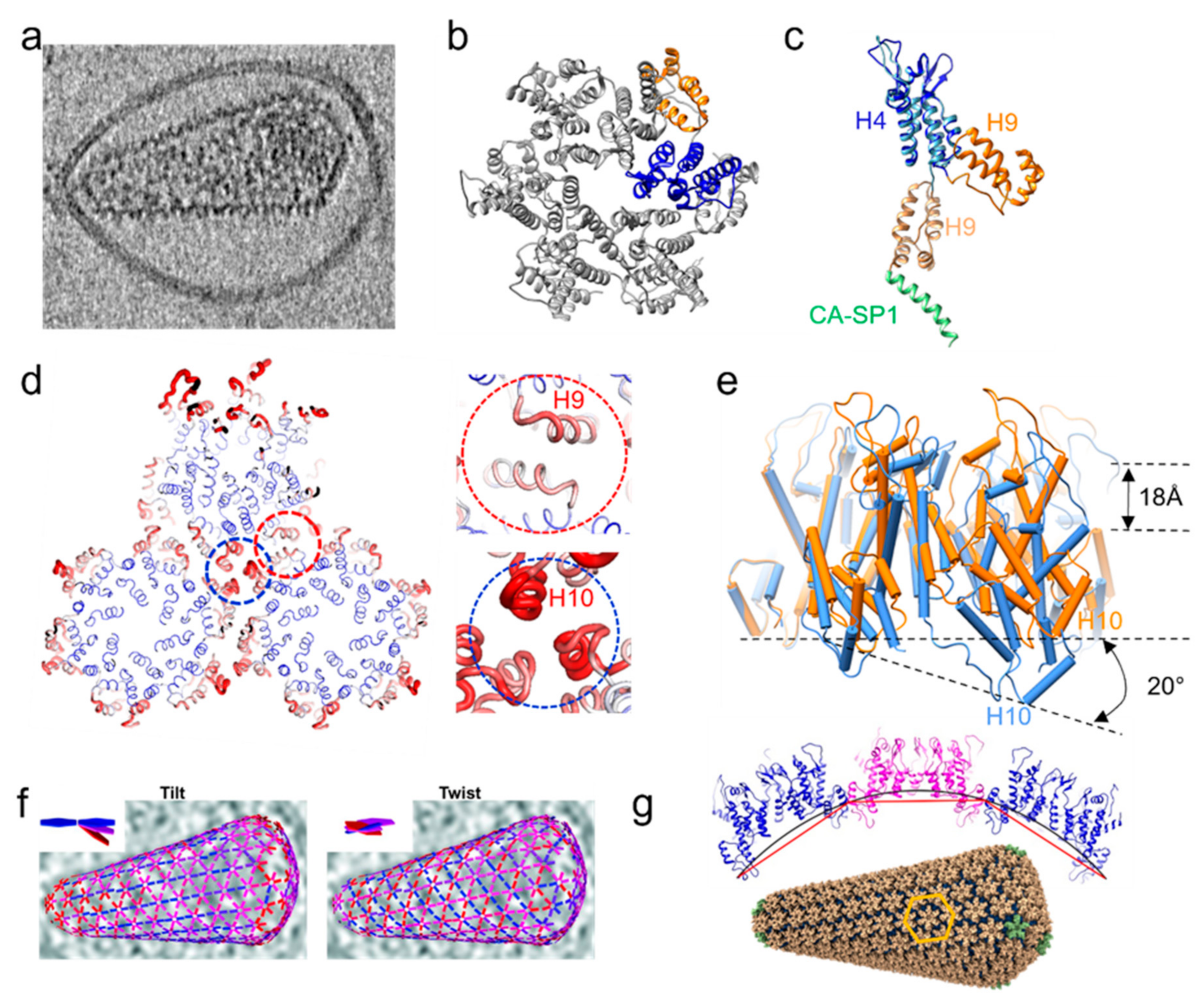 Viruses 14 00054 g002 Viruses 14 00054 g002