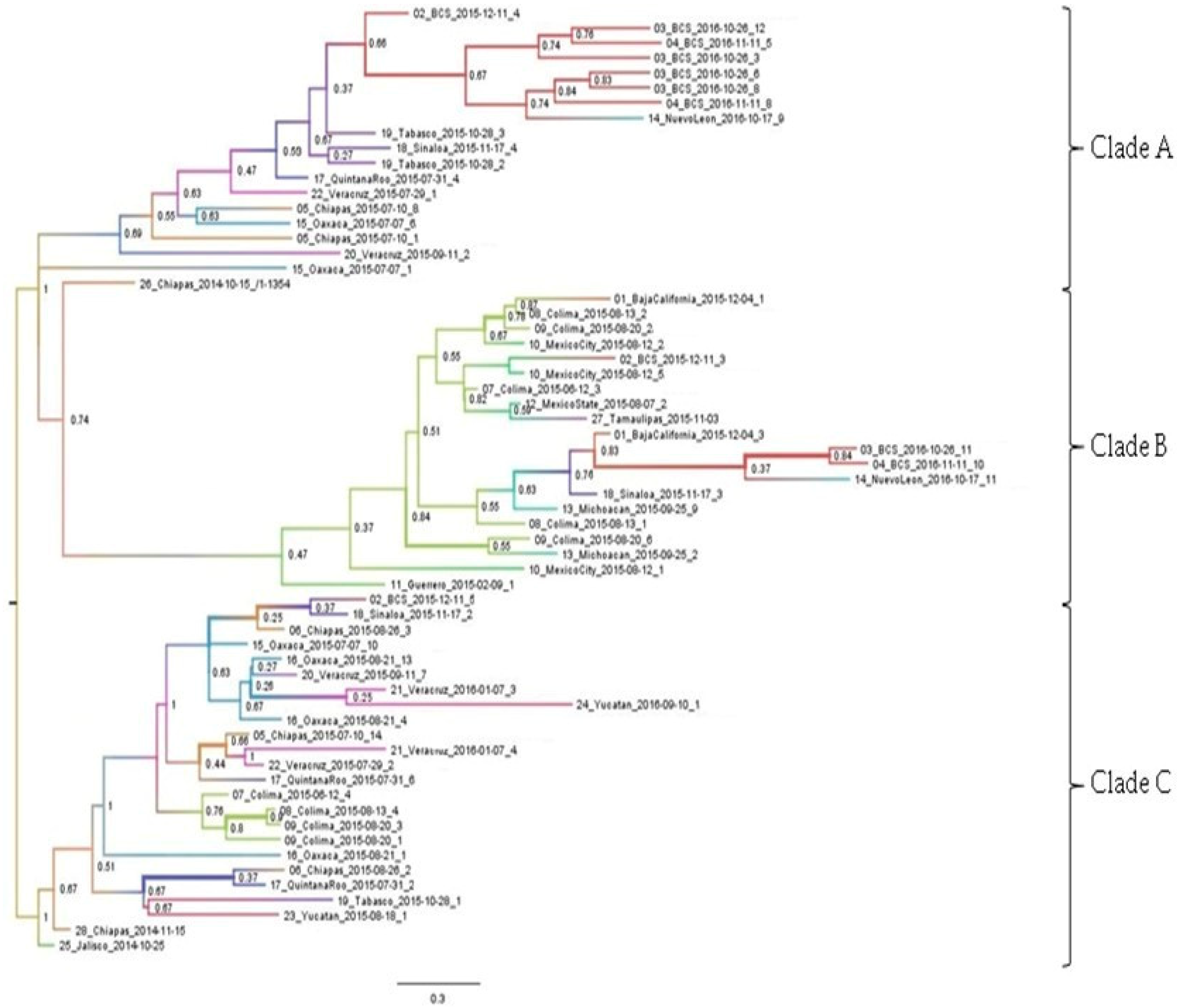 Viruses 14 00070 g002