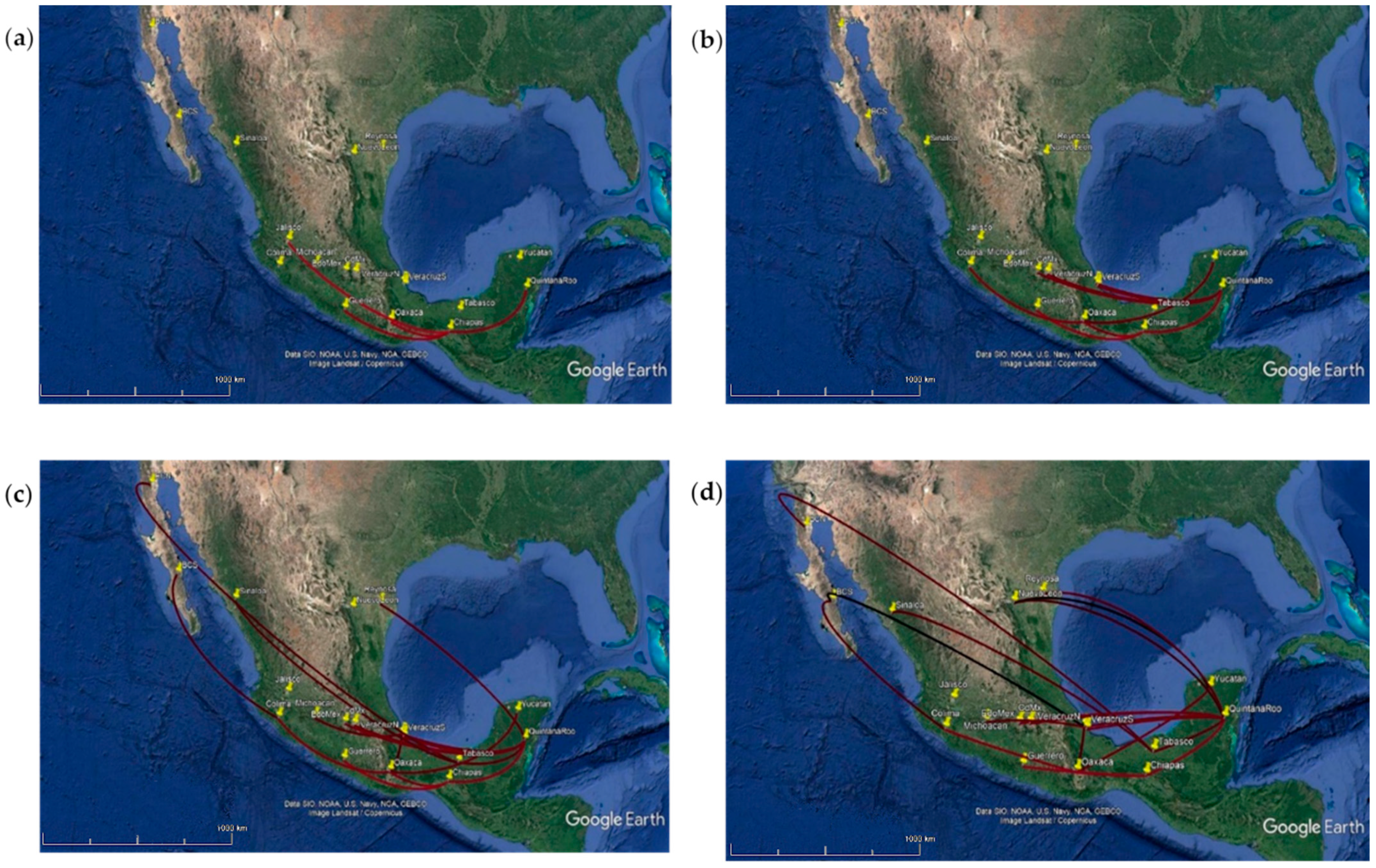 Viruses 14 00070 g003