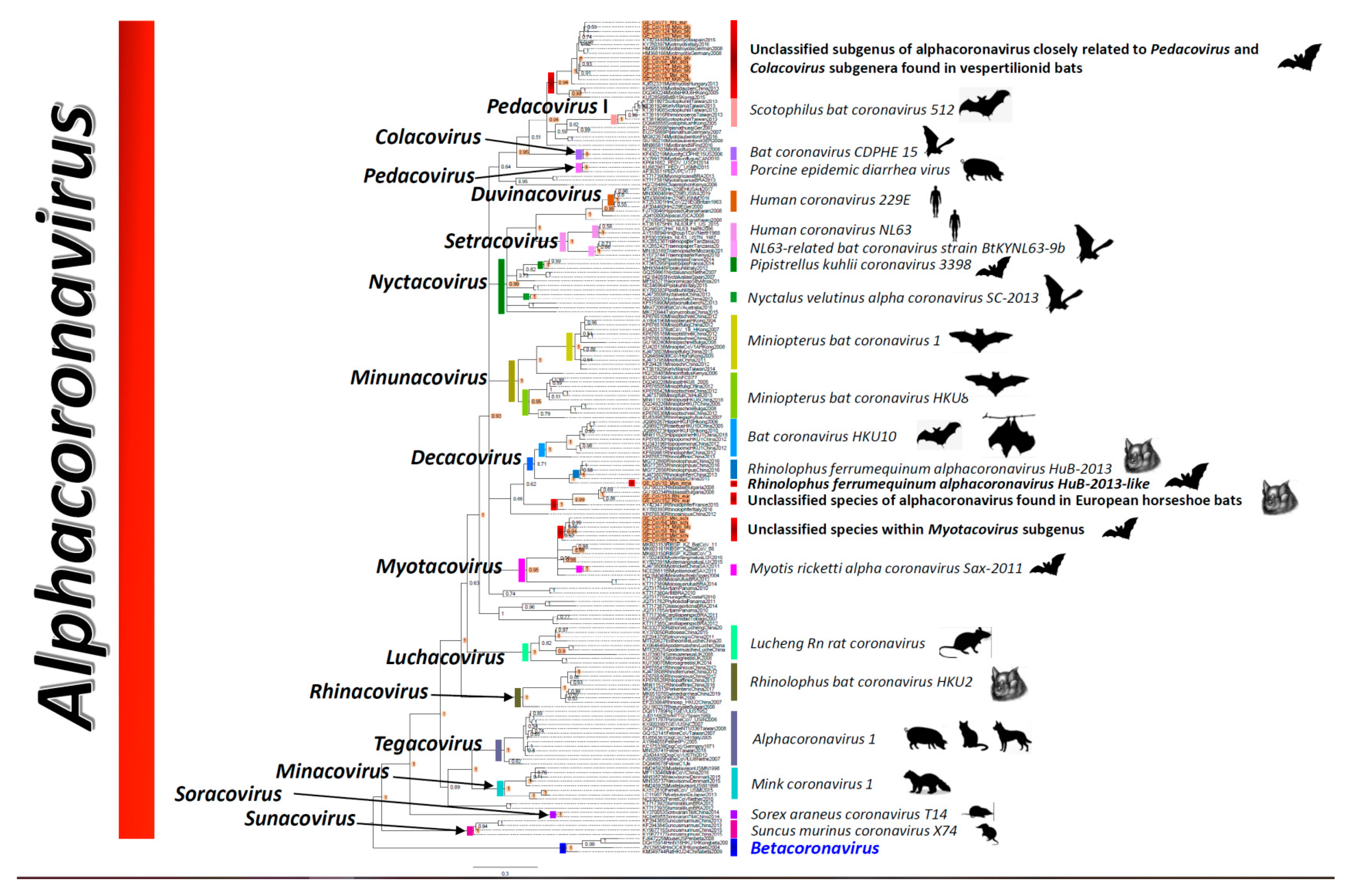 Viruses 14 00072 g002