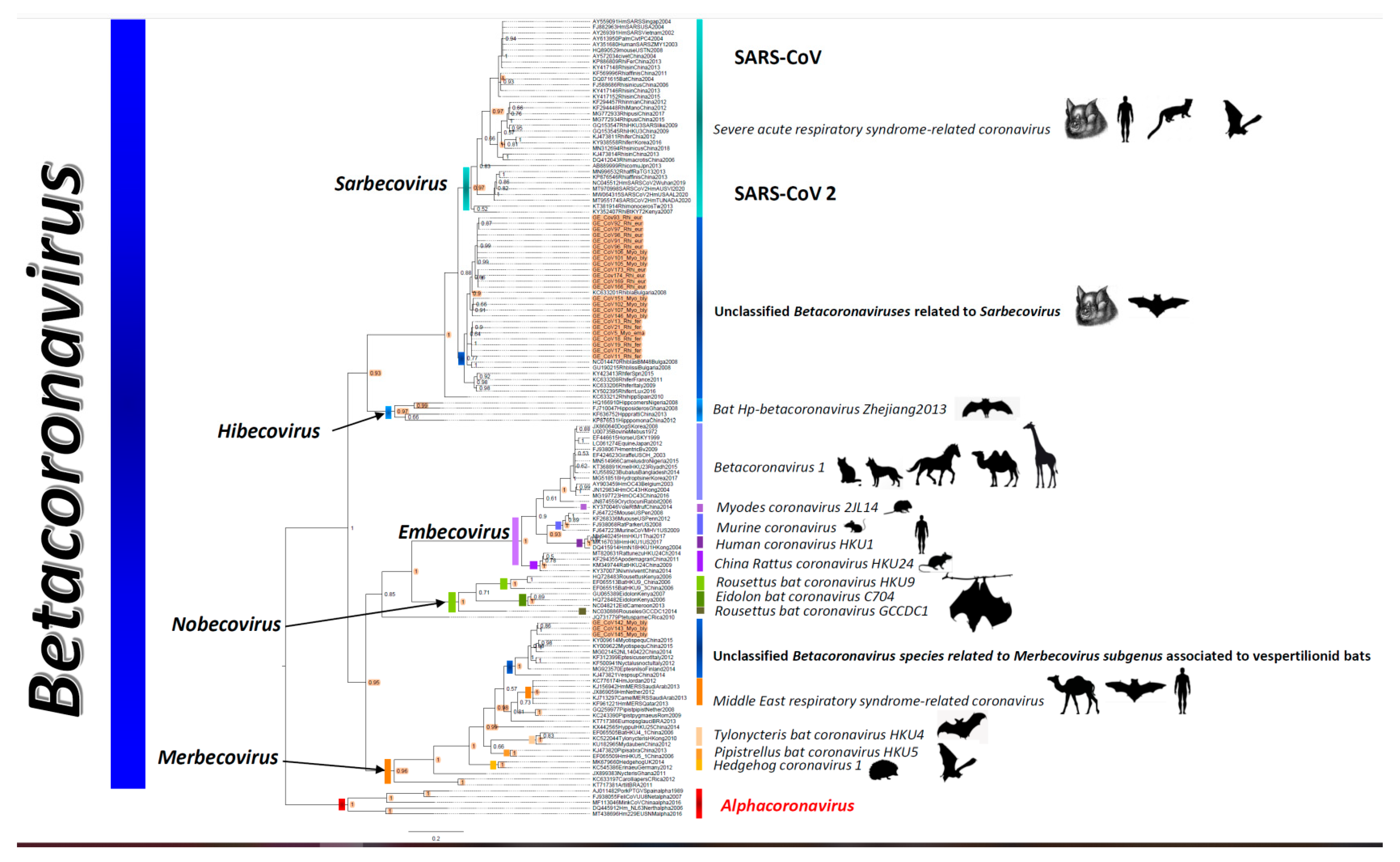 Viruses 14 00072 g003