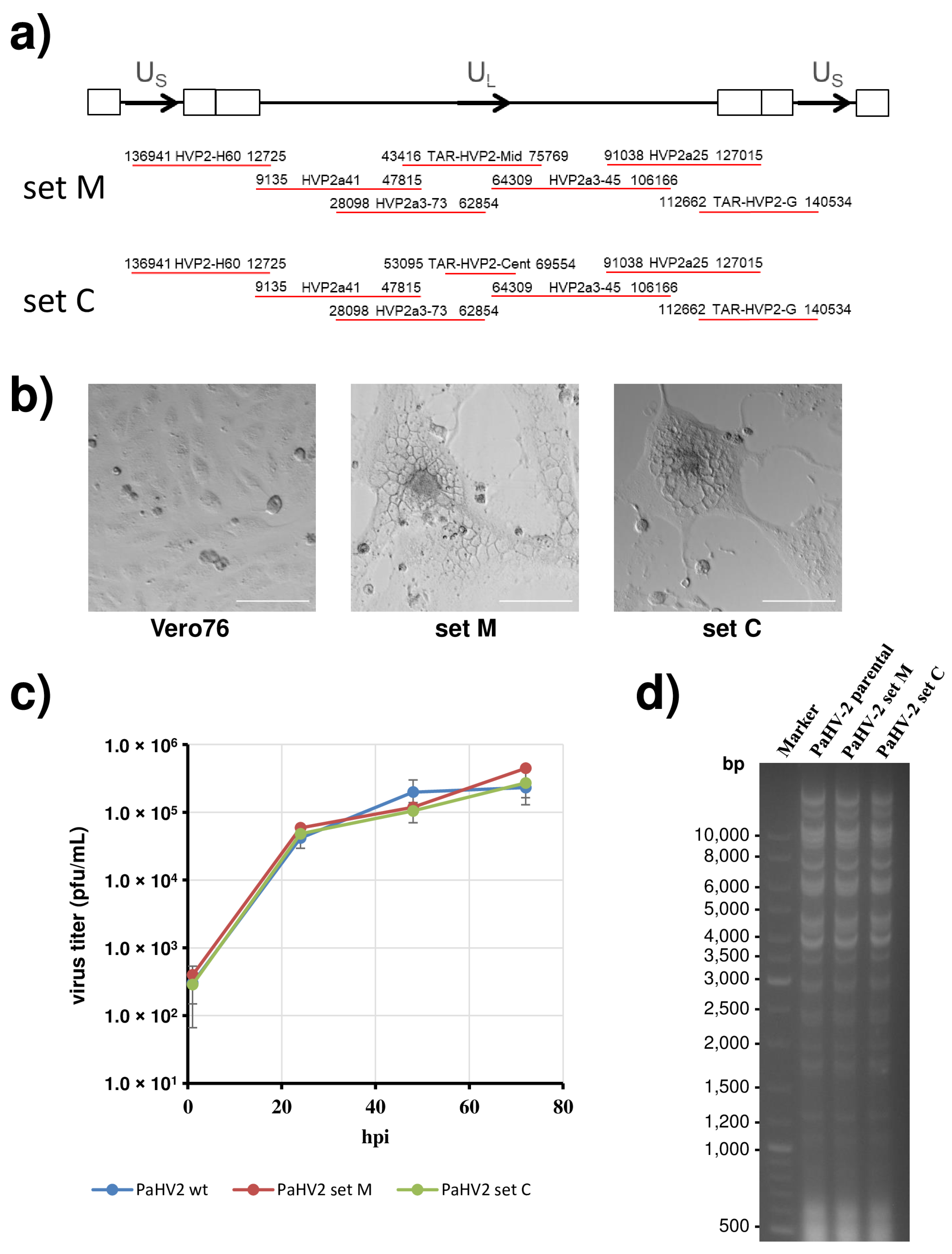 Viruses 14 00091 g002